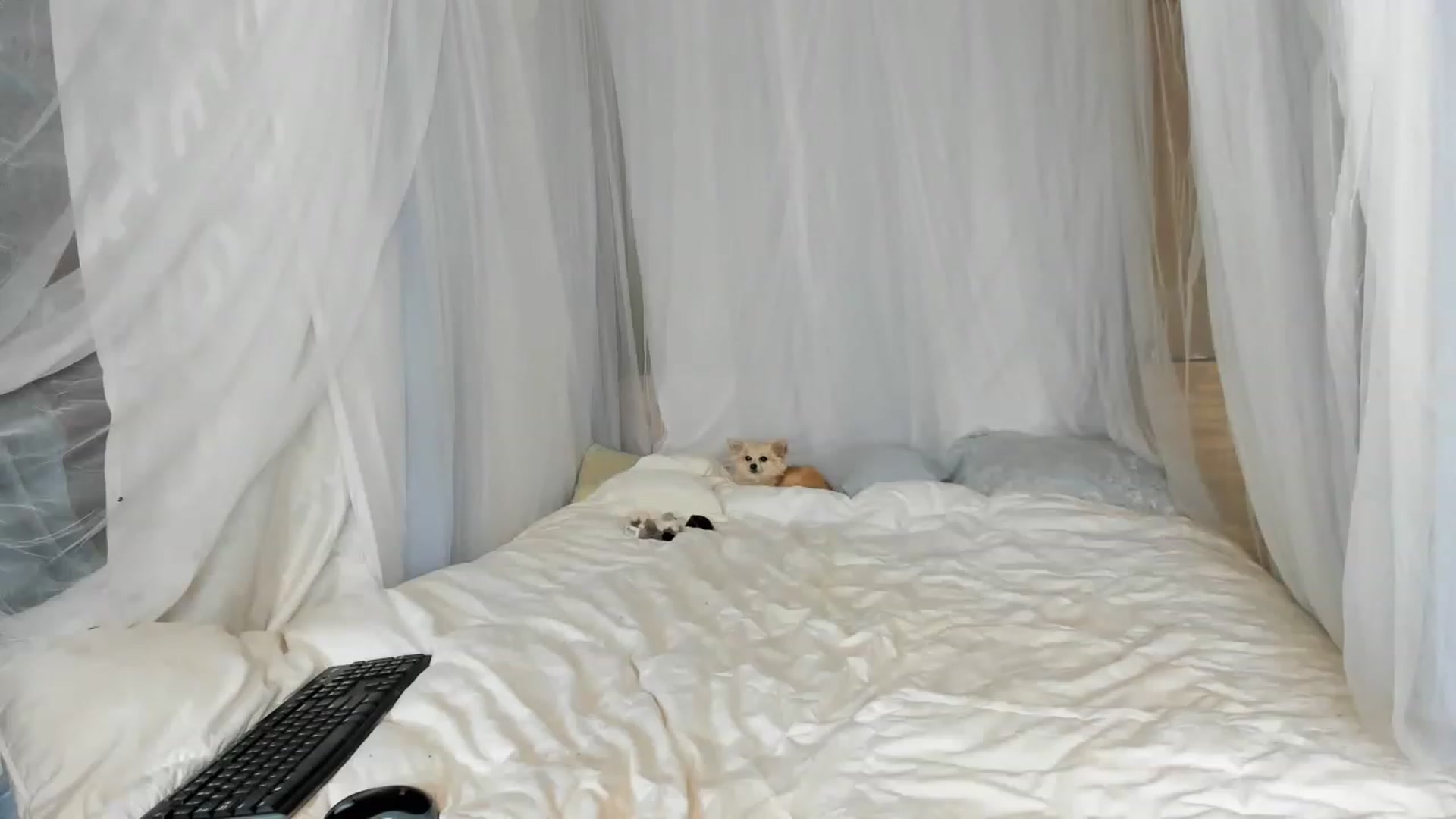 Gallery image thumbnail from summer4413's myfreecams stream on, 05/07/2023, 14:08 image 6 of 20