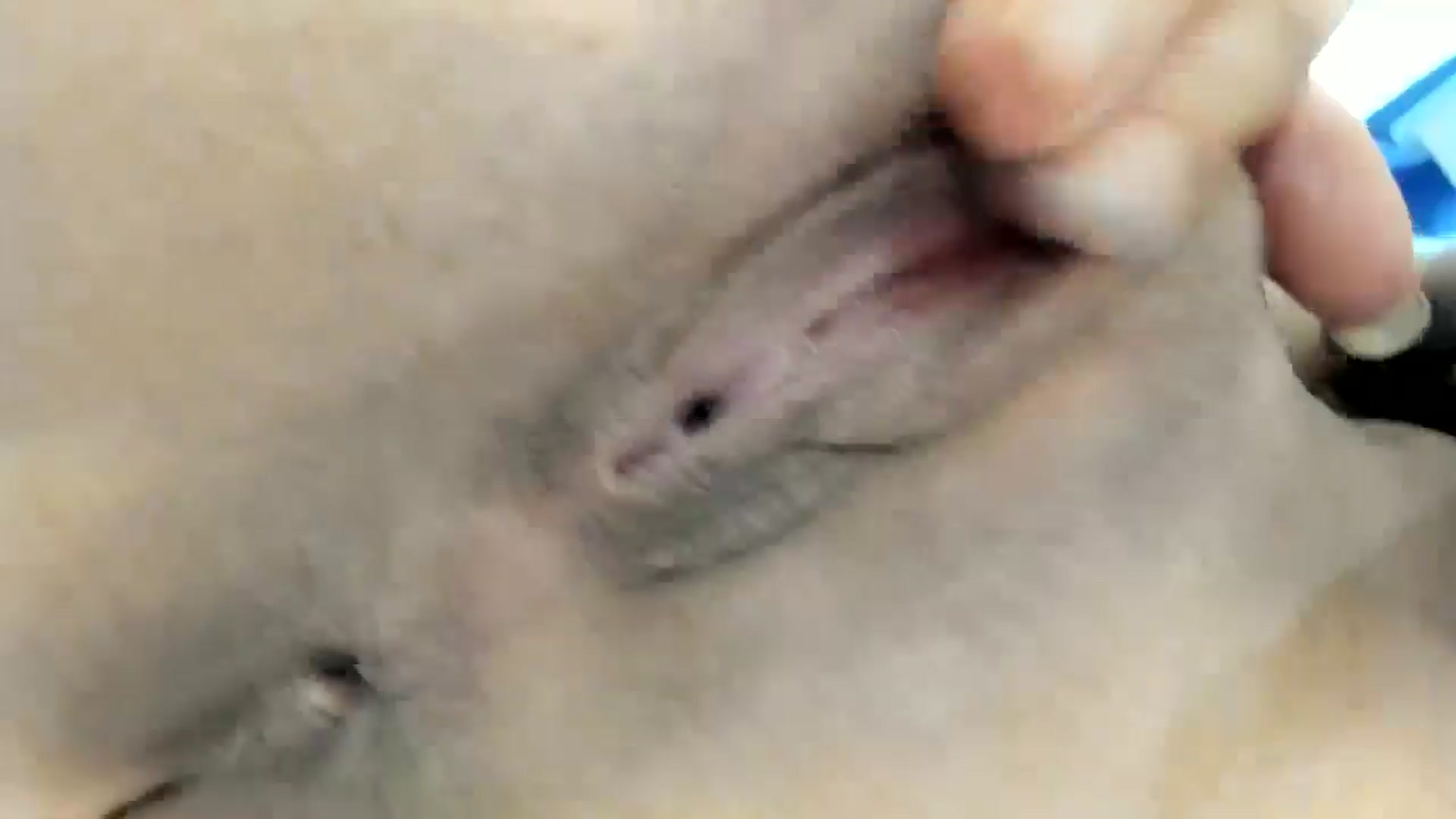 Gallery image thumbnail from summer4413's myfreecams stream on, 05/15/2024, 15:40 image 17 of 20