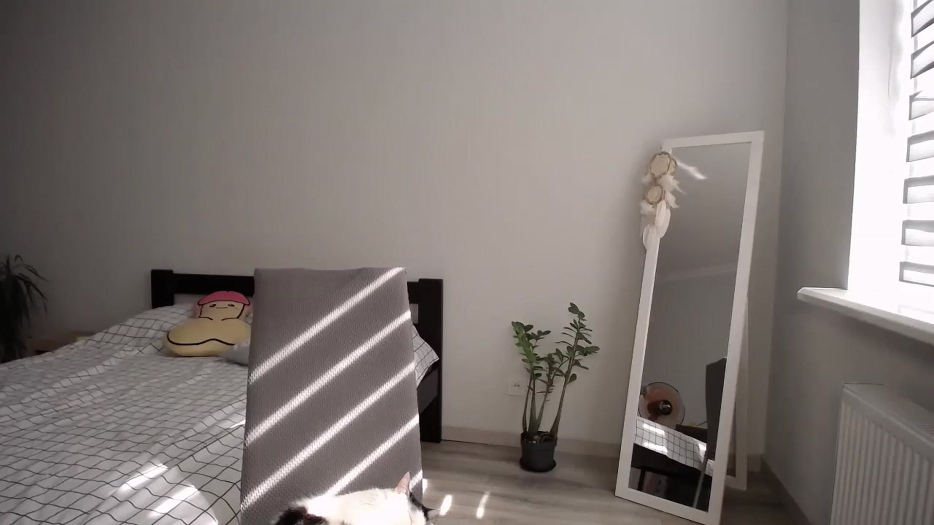 Gallery image thumbnail from sunshineEva_'s myfreecams stream on, 09/02/2024, 12:33 image 10 of 20