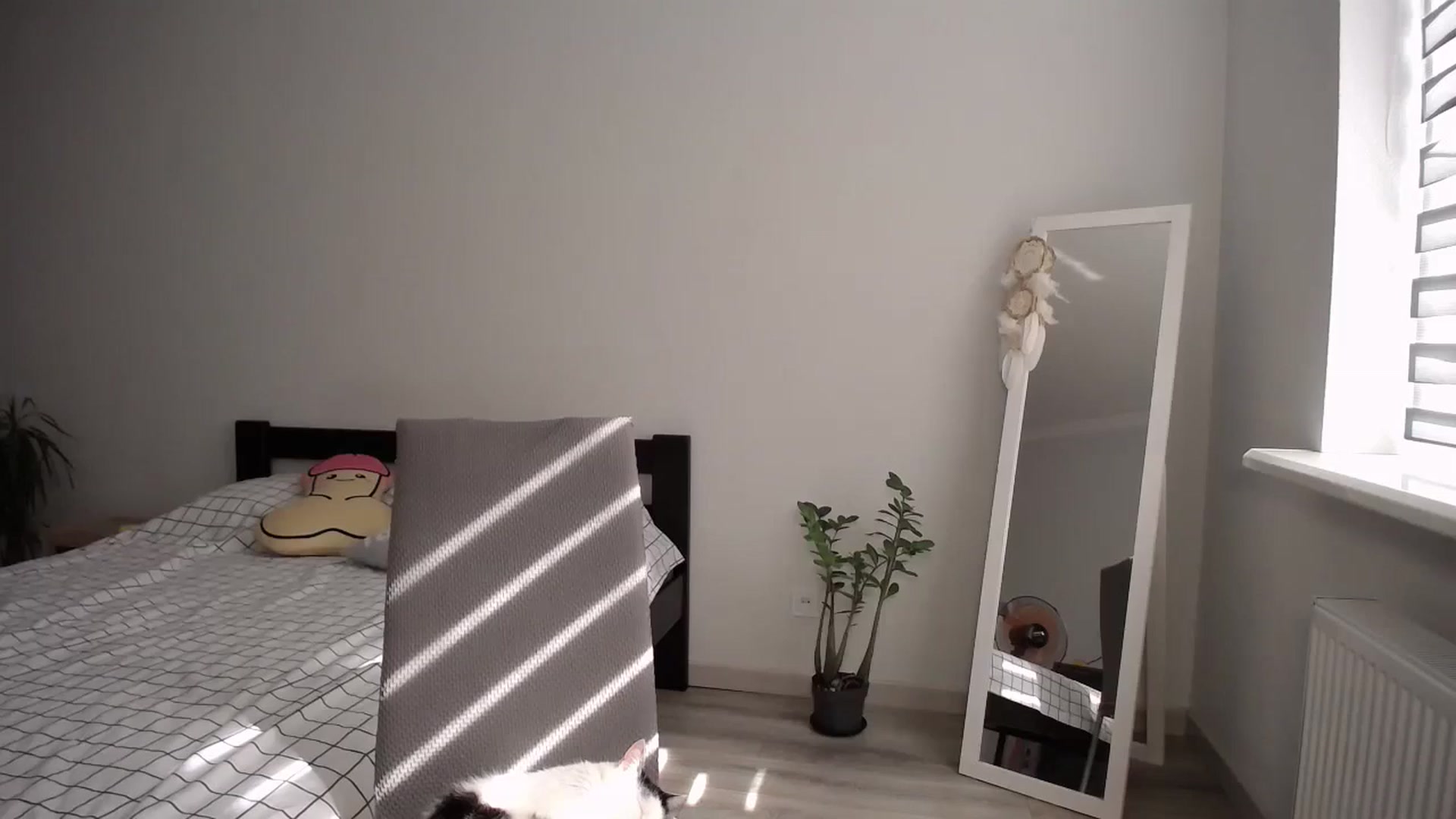 Gallery image thumbnail from sunshineEva_'s myfreecams stream on, 09/02/2024, 12:33 image 9 of 20