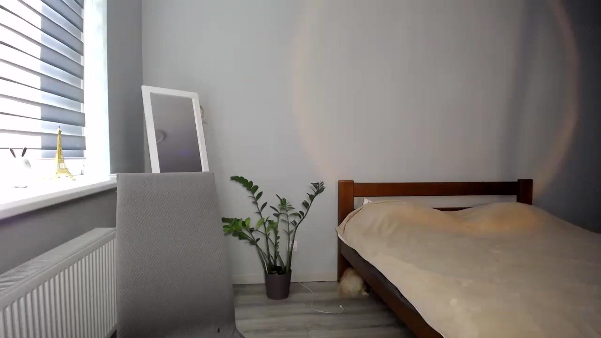 Gallery image thumbnail from sunshineEva_'s myfreecams stream on, 08/12/2025, 16:23 image 3 of 20