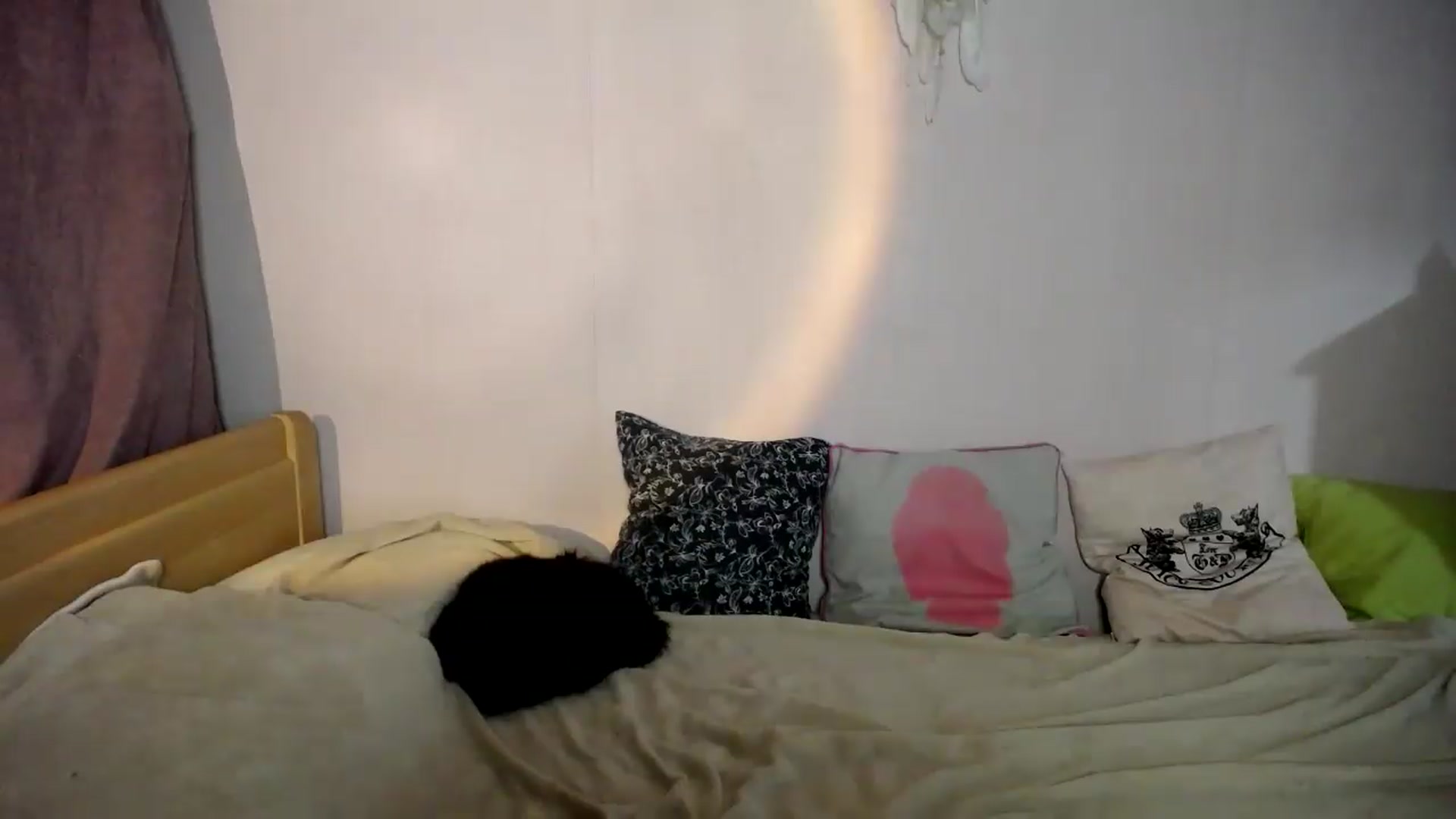 Gallery image thumbnail from sunshineEva_'s myfreecams stream on, 09/10/2026, 16:39 image 17 of 20