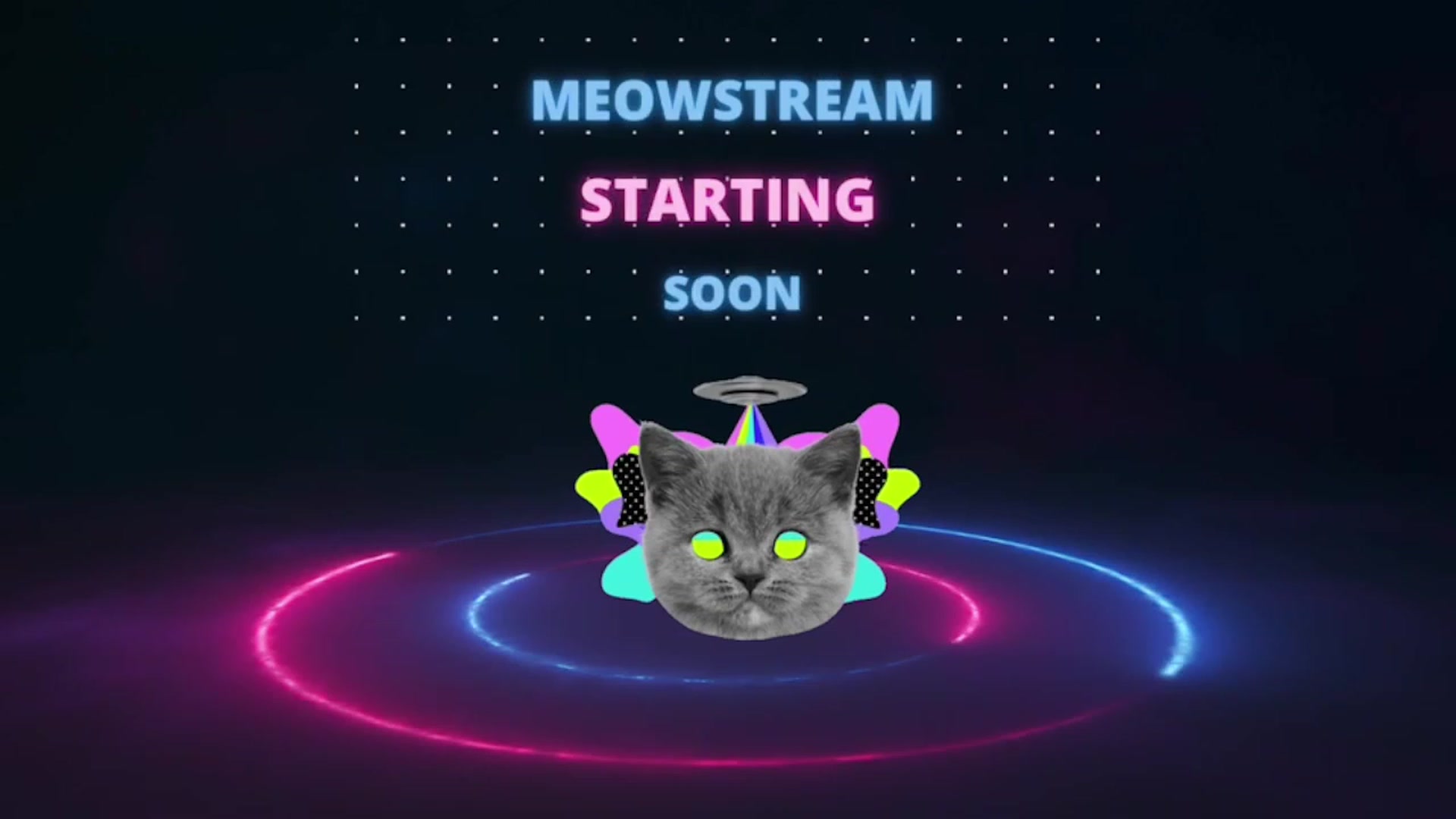 Gallery image thumbnail from supermeows's myfreecams stream on, 02/19/2023, 06:19 image 1 of 20