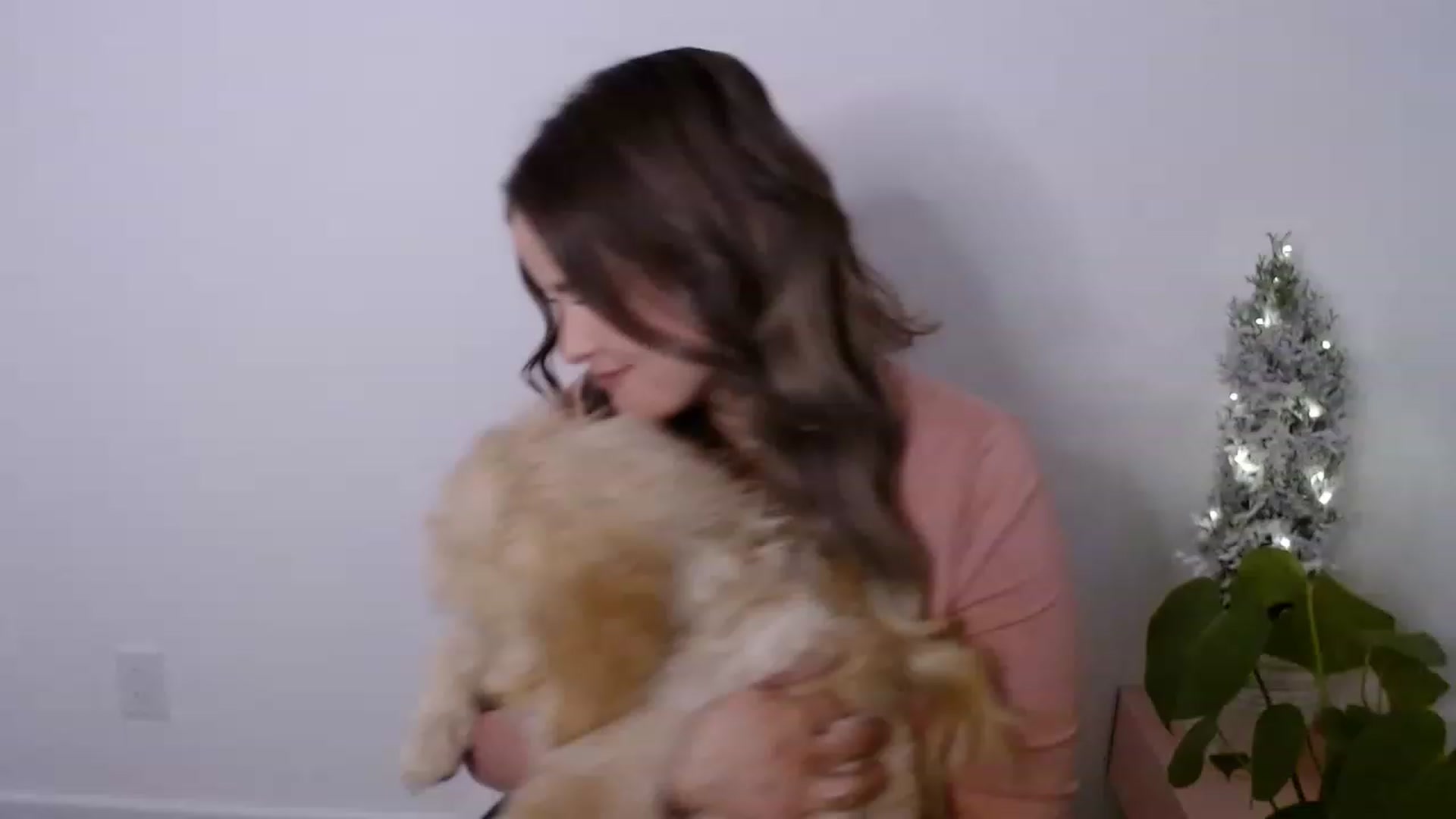 Gallery image thumbnail from sweet__daisy's myfreecams stream on, 12/06/2022, 01:56 image 7 of 20