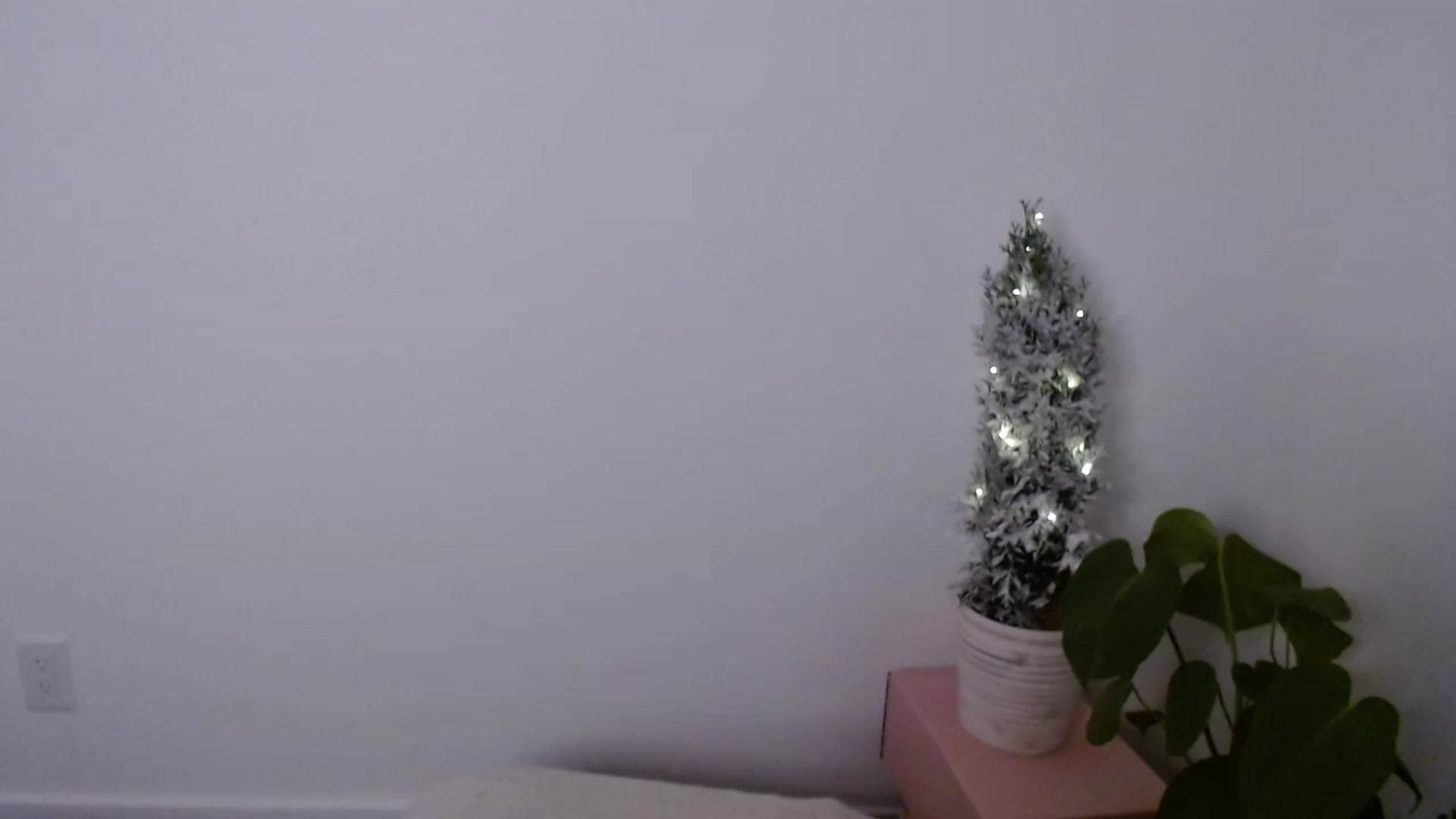 Gallery image thumbnail from sweet__daisy's myfreecams stream on, 12/06/2022, 02:32 image 12 of 20