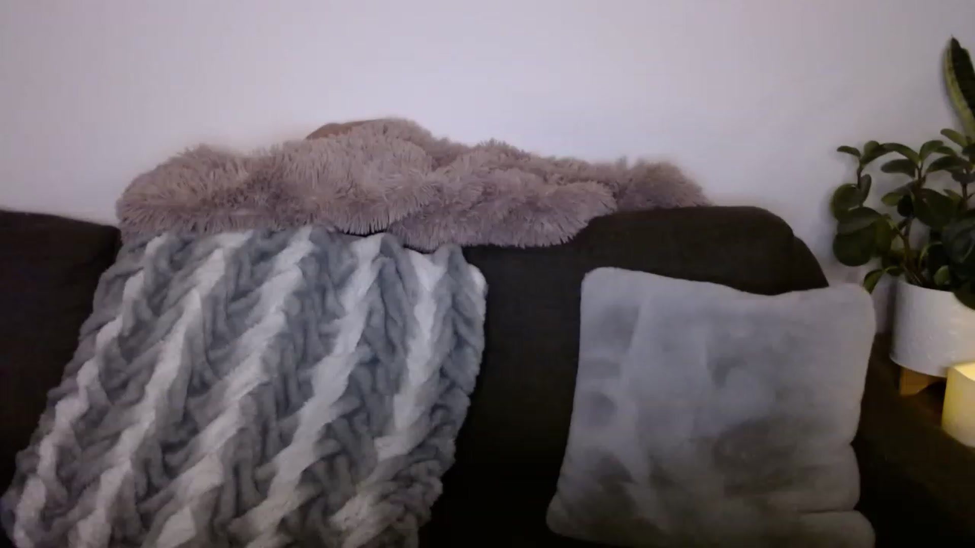 Gallery image thumbnail from sweet__daisy's myfreecams stream on, 02/03/2023, 04:59 image 5 of 20