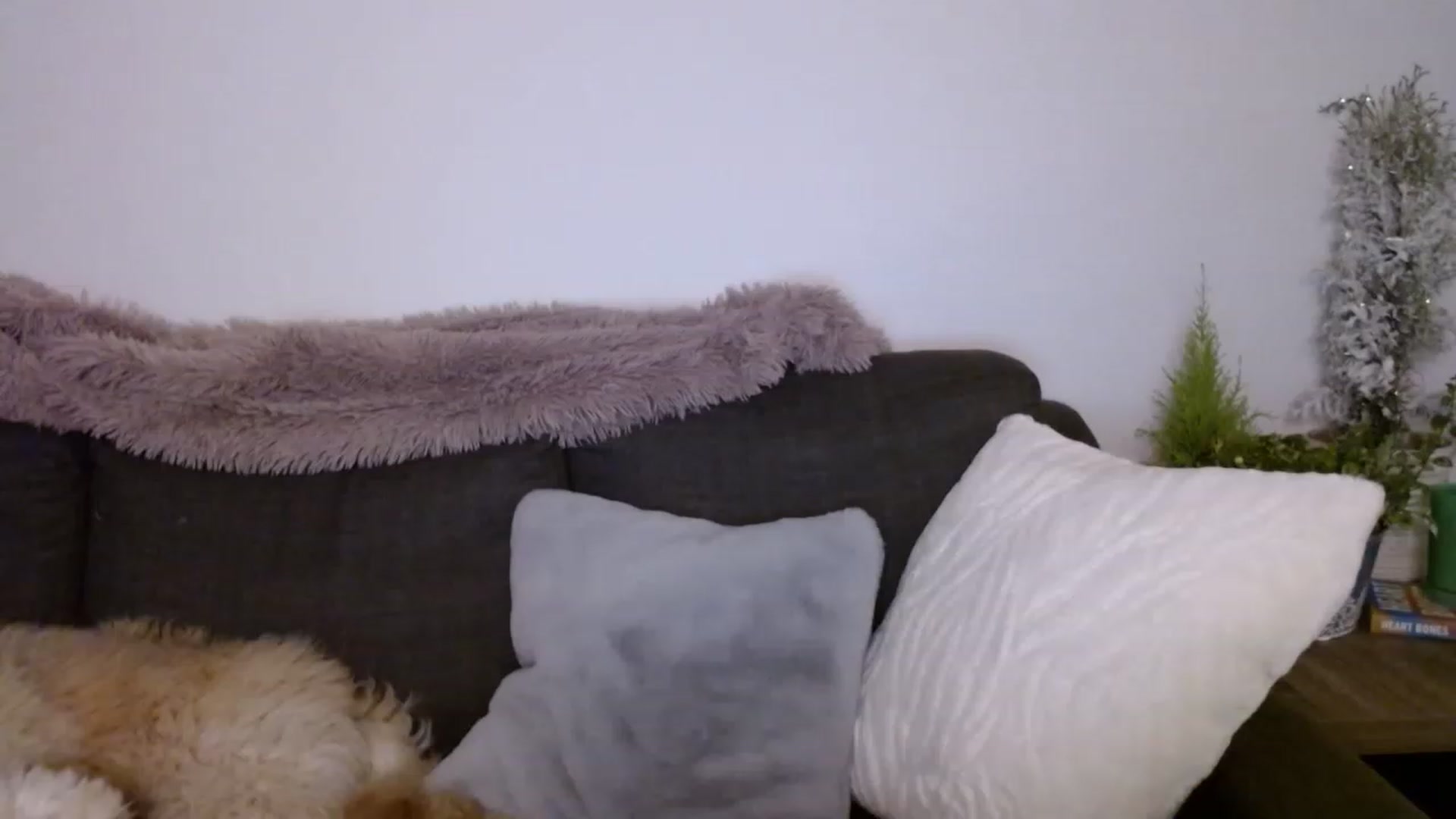 Gallery image thumbnail from sweet__daisy's myfreecams stream on, 03/22/2023, 03:04 image 9 of 20