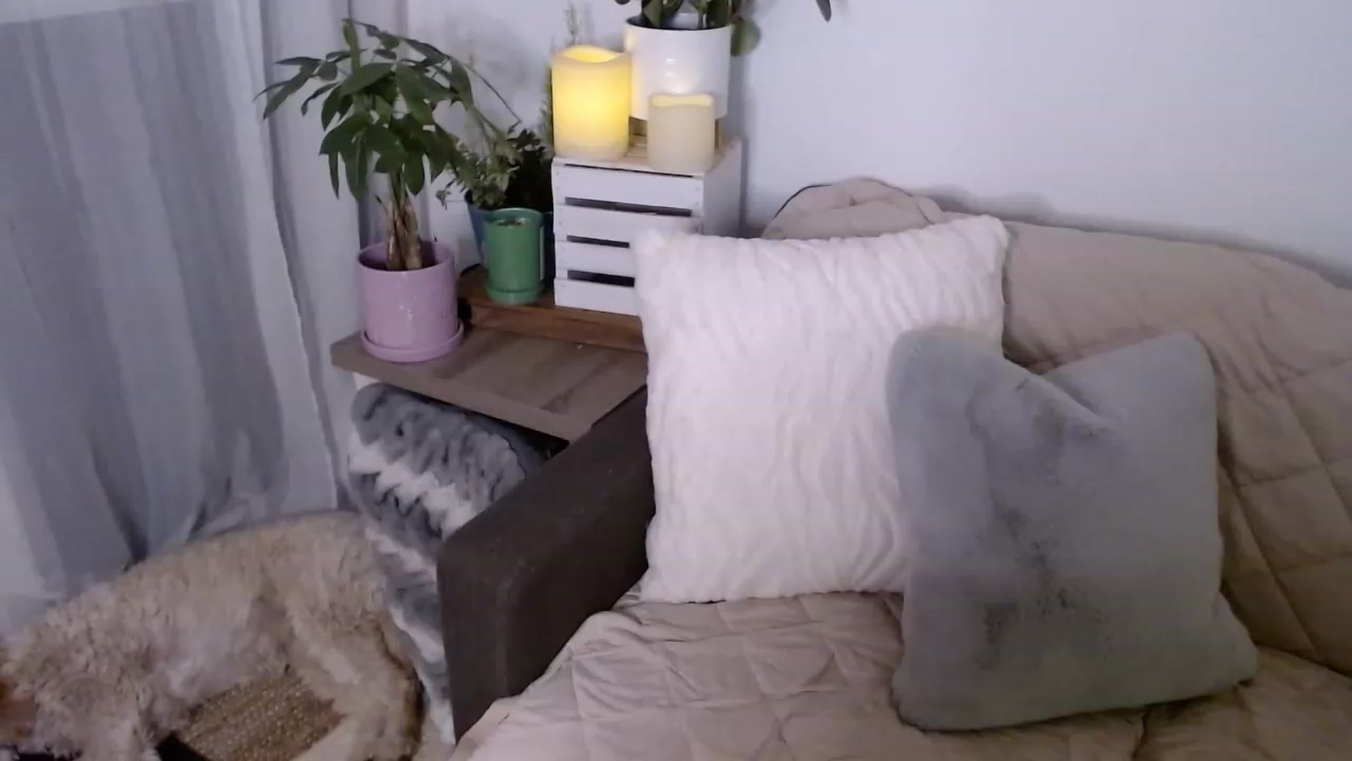 Gallery image thumbnail from sweet__daisy's myfreecams stream on, 06/10/2023, 06:06 image 16 of 20
