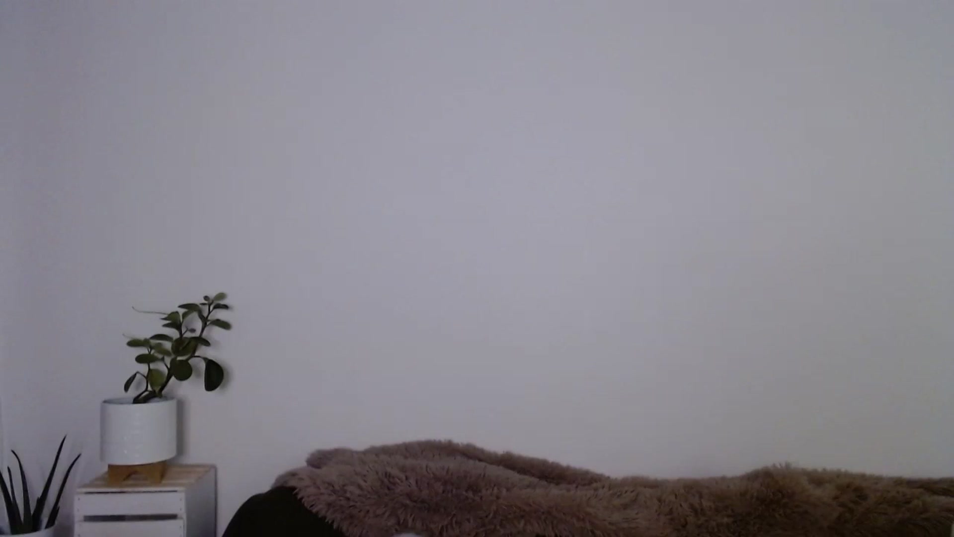 Gallery image thumbnail from sweet__daisy's myfreecams stream on, 09/23/2023, 05:40 image 15 of 20