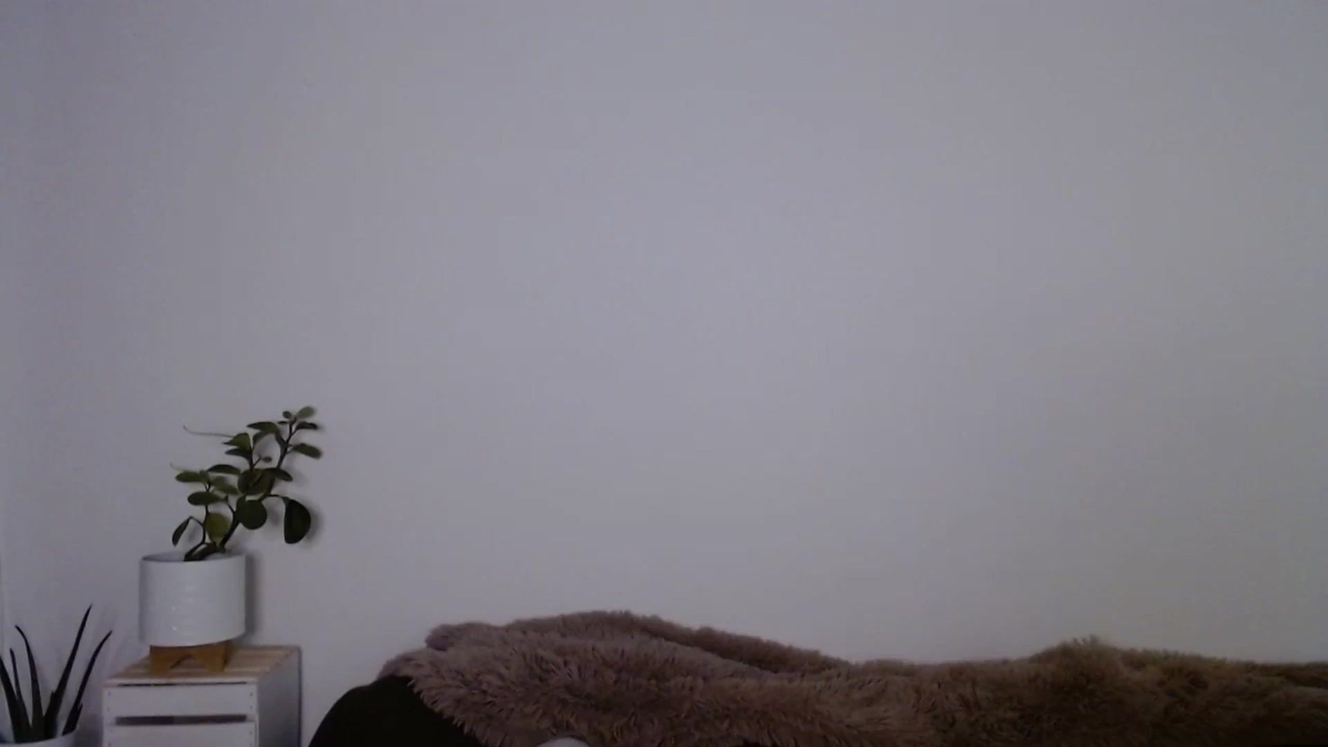 Gallery image thumbnail from sweet__daisy's myfreecams stream on, 09/23/2023, 05:40 image 5 of 20