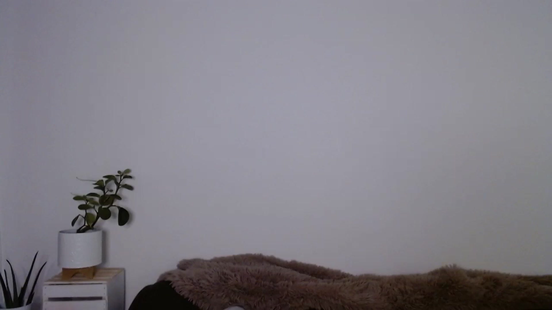 Gallery image thumbnail from sweet__daisy's myfreecams stream on, 09/23/2023, 05:40 image 6 of 20