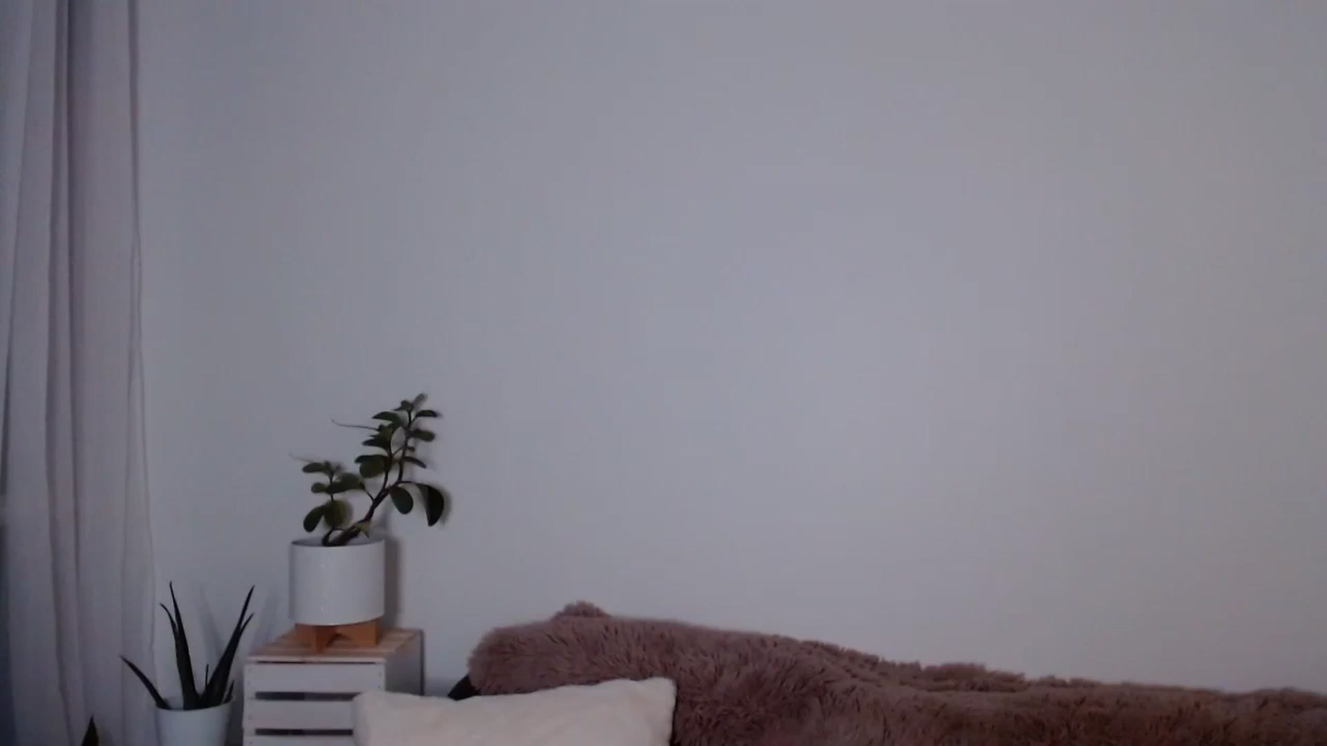 Gallery image thumbnail from sweet__daisy's myfreecams stream on, 09/24/2023, 04:03 image 19 of 20