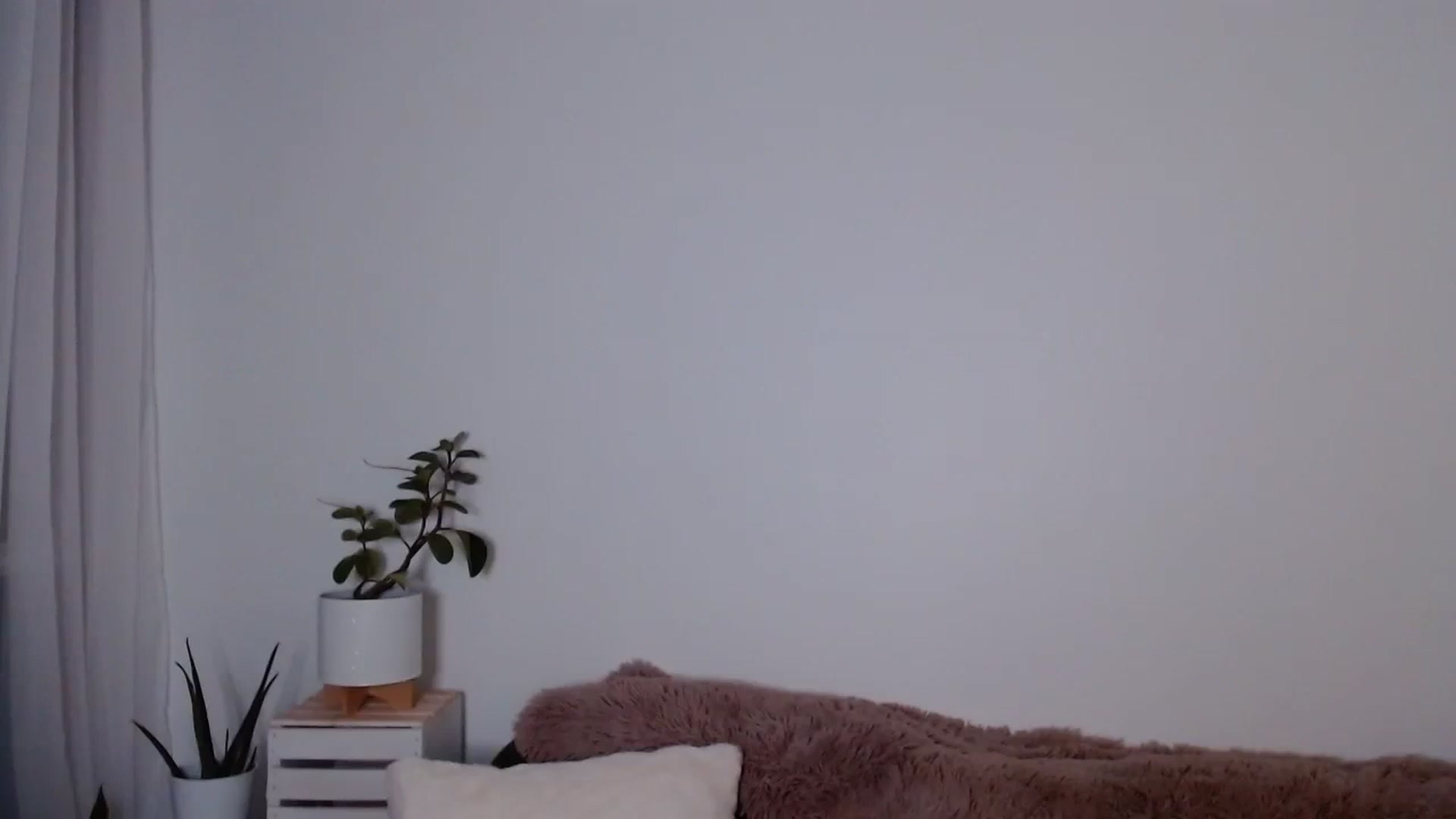 Gallery image thumbnail from sweet__daisy's myfreecams stream on, 09/24/2023, 04:03 image 17 of 20