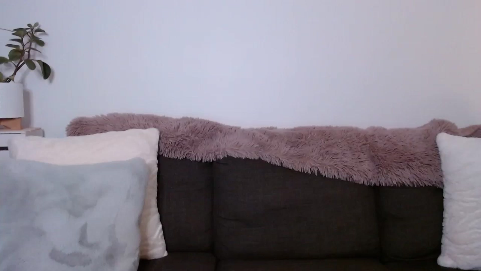 Gallery image thumbnail from sweet__daisy's myfreecams stream on, 09/24/2023, 06:14 image 16 of 20