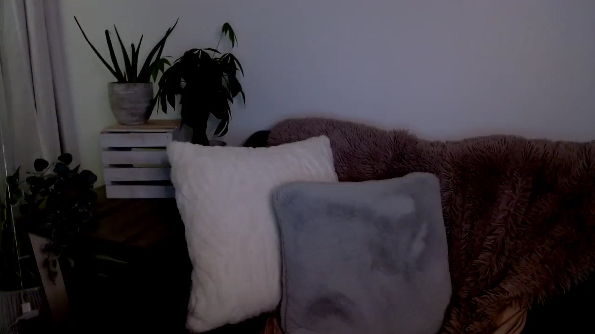 Gallery image thumbnail from sweet__daisy's myfreecams stream on, 01/14/2024, 09:00 image 17 of 20