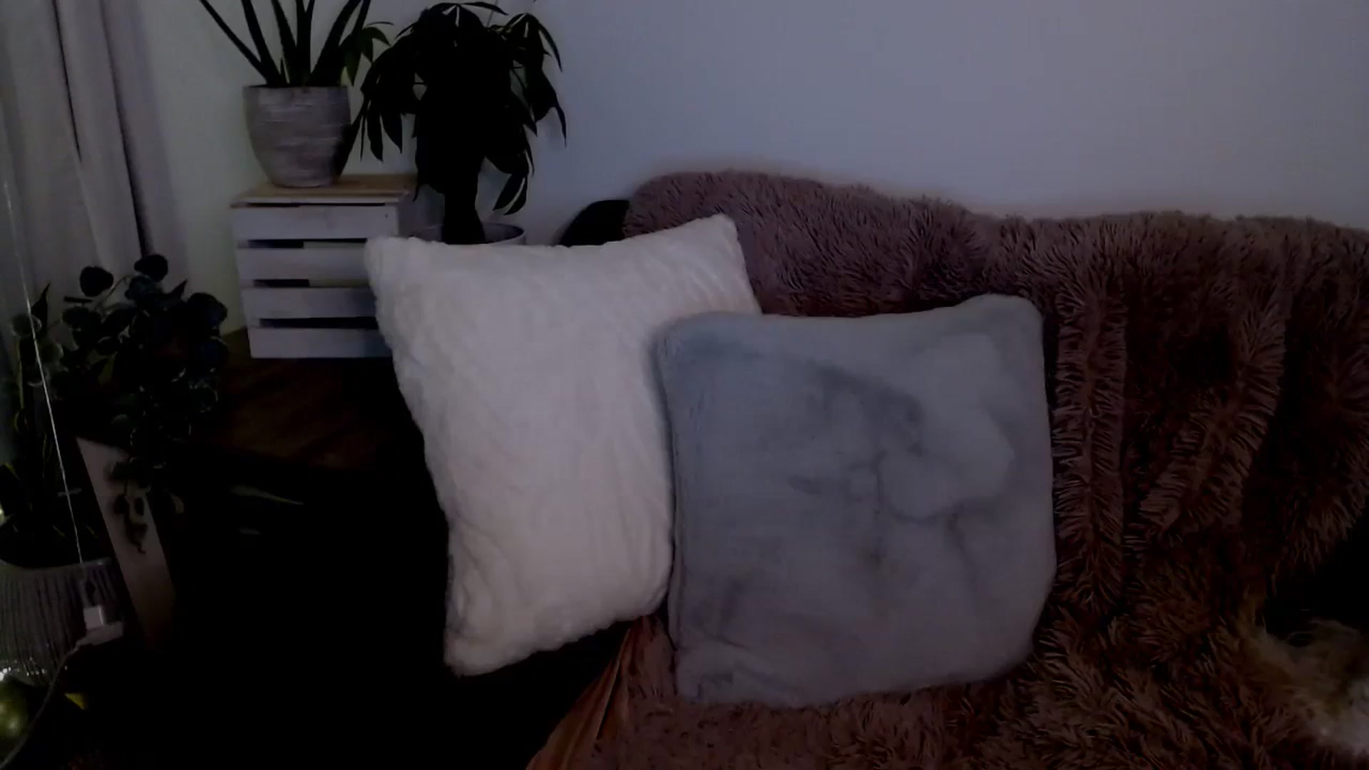 Gallery image thumbnail from sweet__daisy's myfreecams stream on, 01/14/2024, 10:00 image 14 of 20