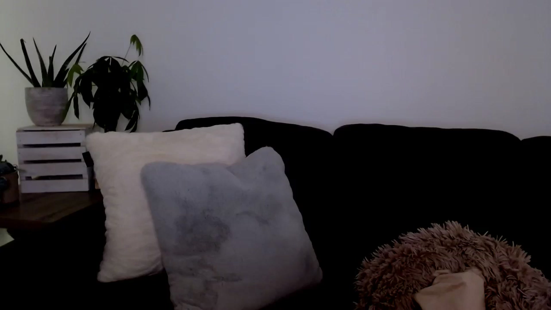 Gallery image thumbnail from sweet__daisy's myfreecams stream on, 01/20/2024, 11:01 image 9 of 20