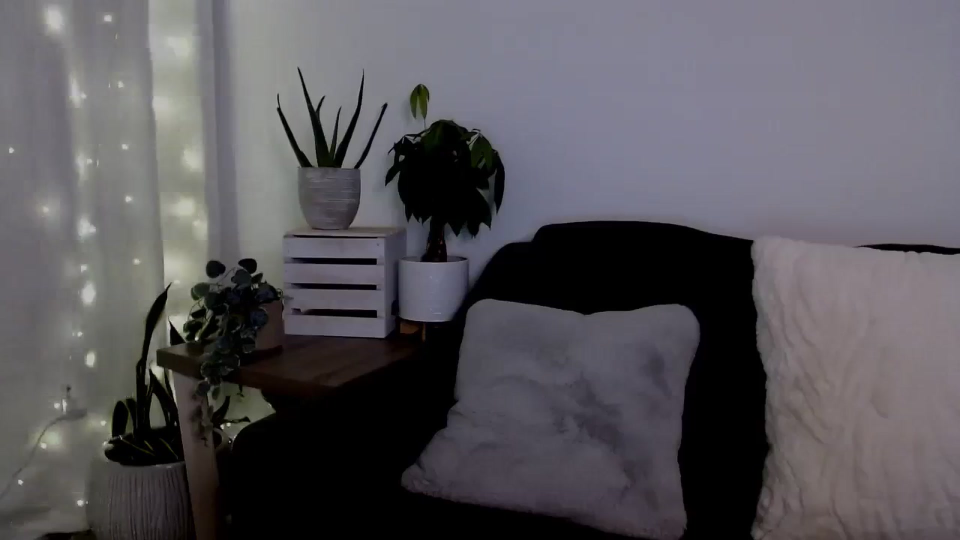 Gallery image thumbnail from sweet__daisy's myfreecams stream on, 01/27/2024, 08:57 image 12 of 20