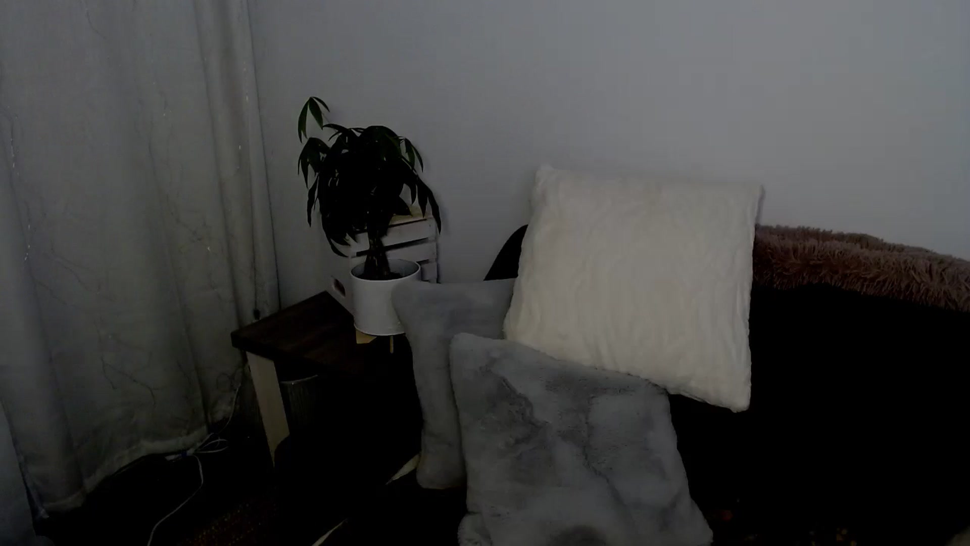 Gallery image thumbnail from sweet__daisy's myfreecams stream on, 04/20/2024, 08:17 image 7 of 20