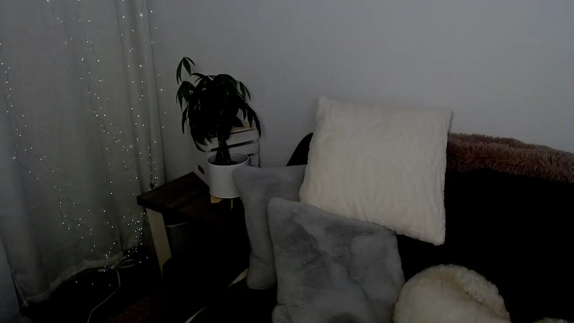 Gallery image thumbnail from sweet__daisy's myfreecams stream on, 04/20/2024, 08:17 image 4 of 20