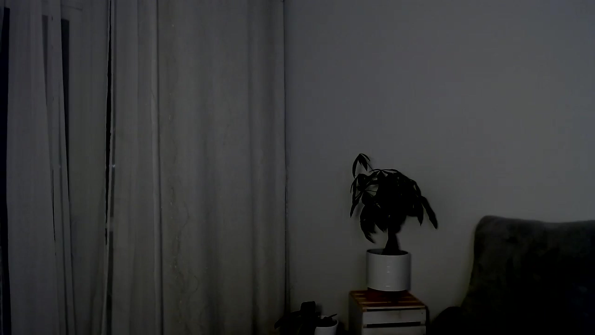 Gallery image thumbnail from sweet__daisy's myfreecams stream on, 06/22/2024, 08:55 image 12 of 20