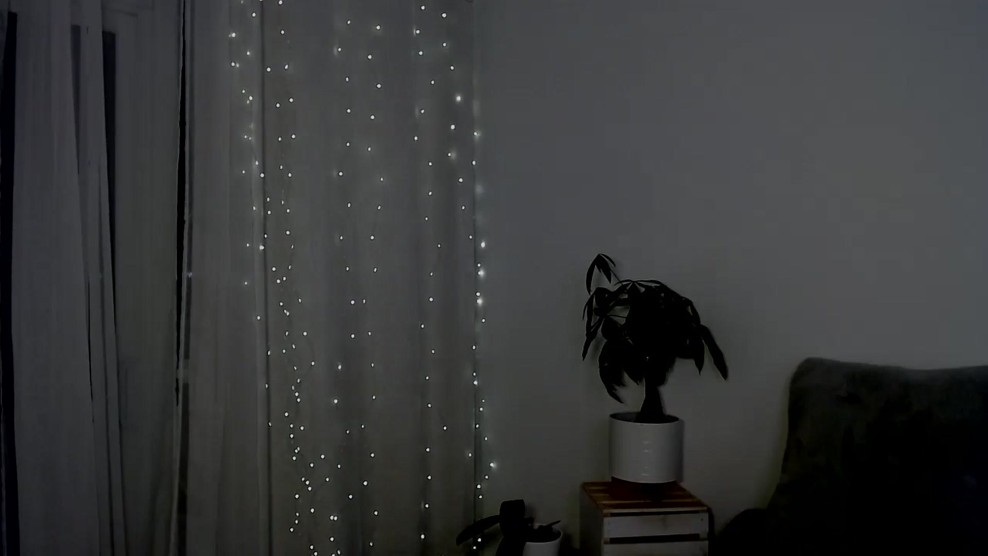 Gallery image thumbnail from sweet__daisy's myfreecams stream on, 06/22/2024, 08:55 image 9 of 20