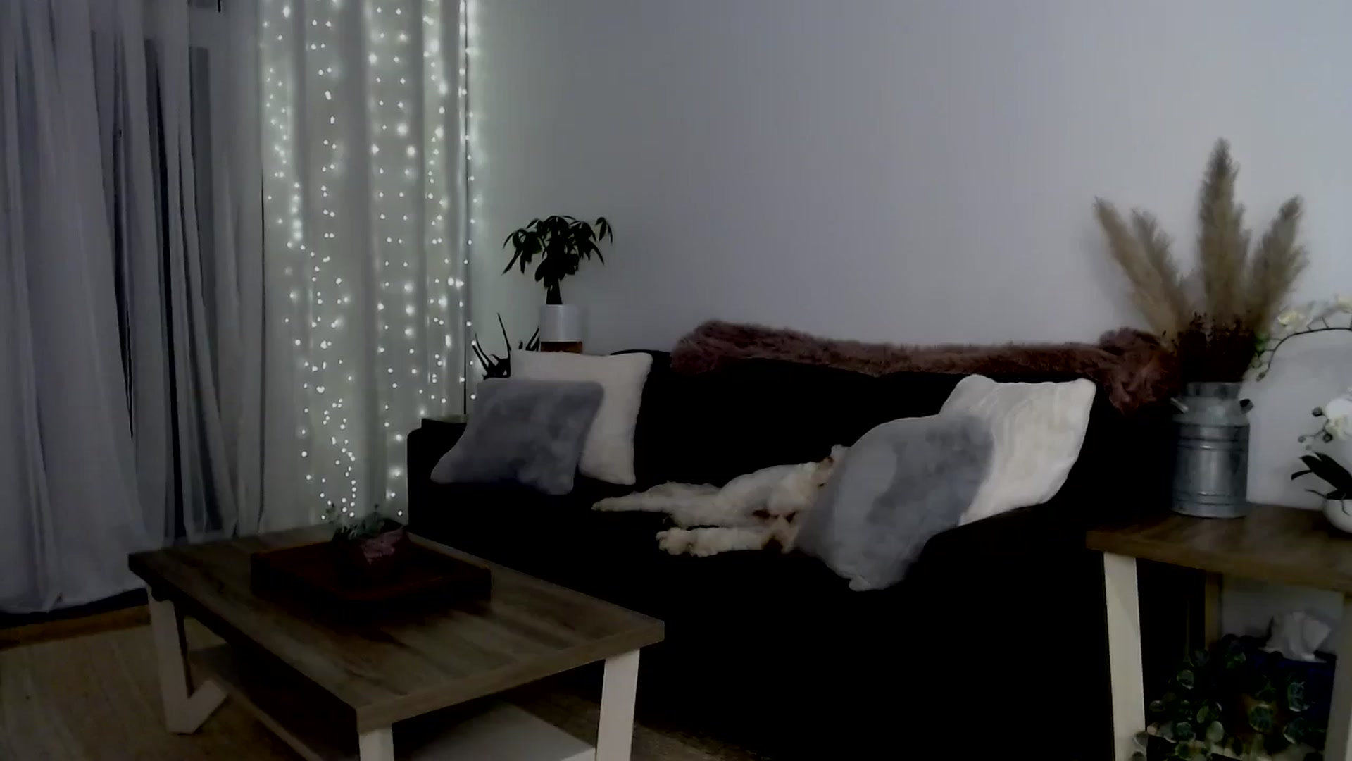 Gallery image thumbnail from sweet__daisy's myfreecams stream on, 06/29/2024, 09:02 image 12 of 20