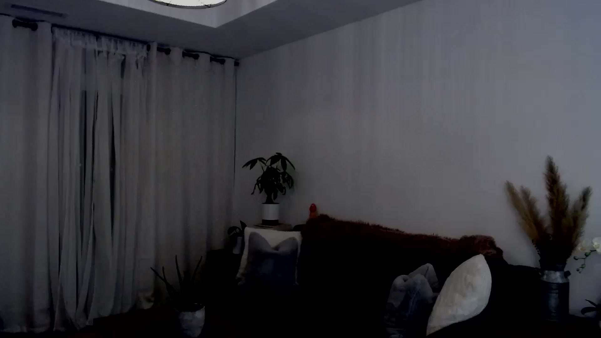 Gallery image thumbnail from sweet__daisy's myfreecams stream on, 07/27/2024, 08:00 image 17 of 20