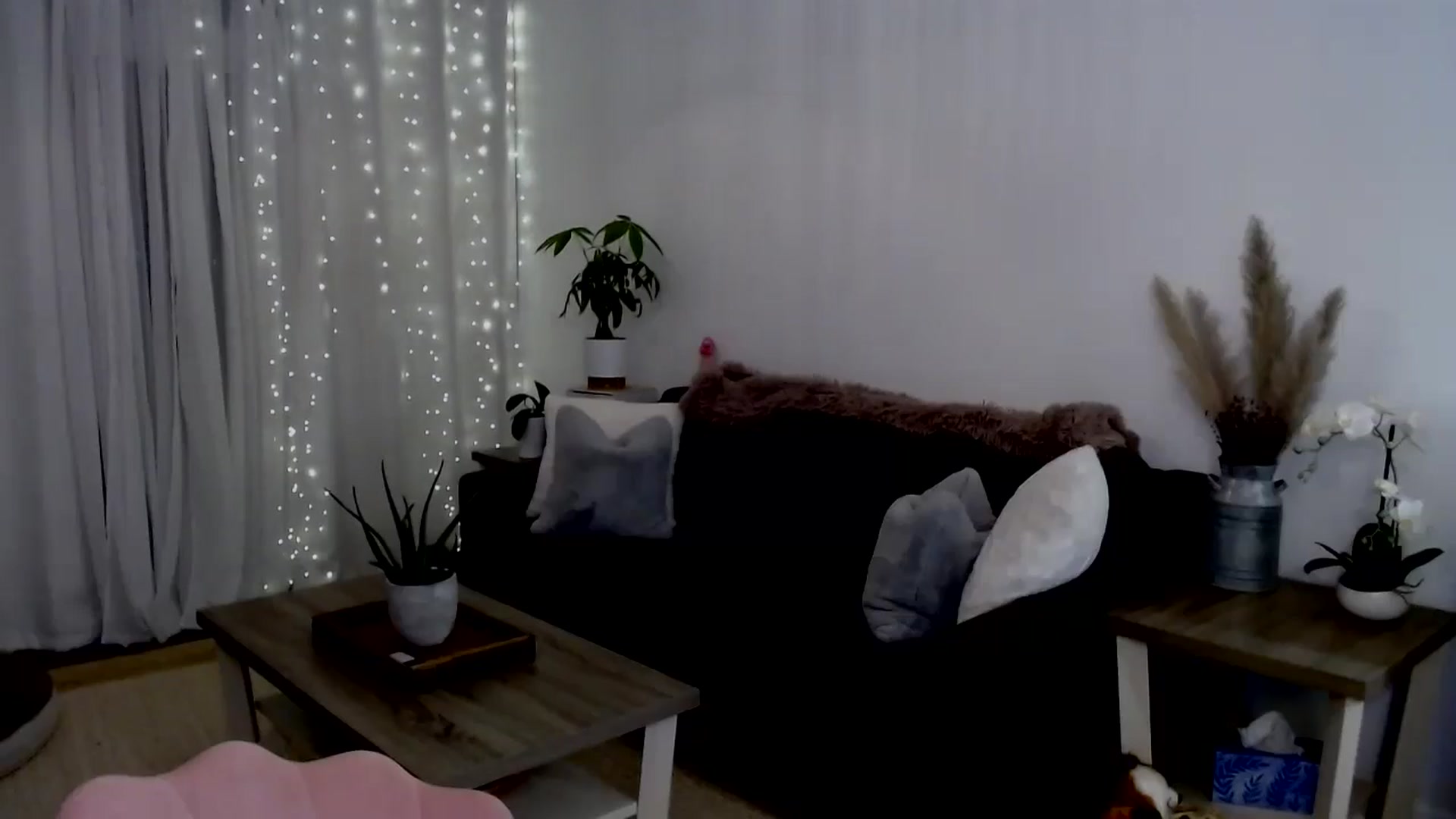 Gallery image thumbnail from sweet__daisy's myfreecams stream on, 07/27/2024, 10:53 image 2 of 20