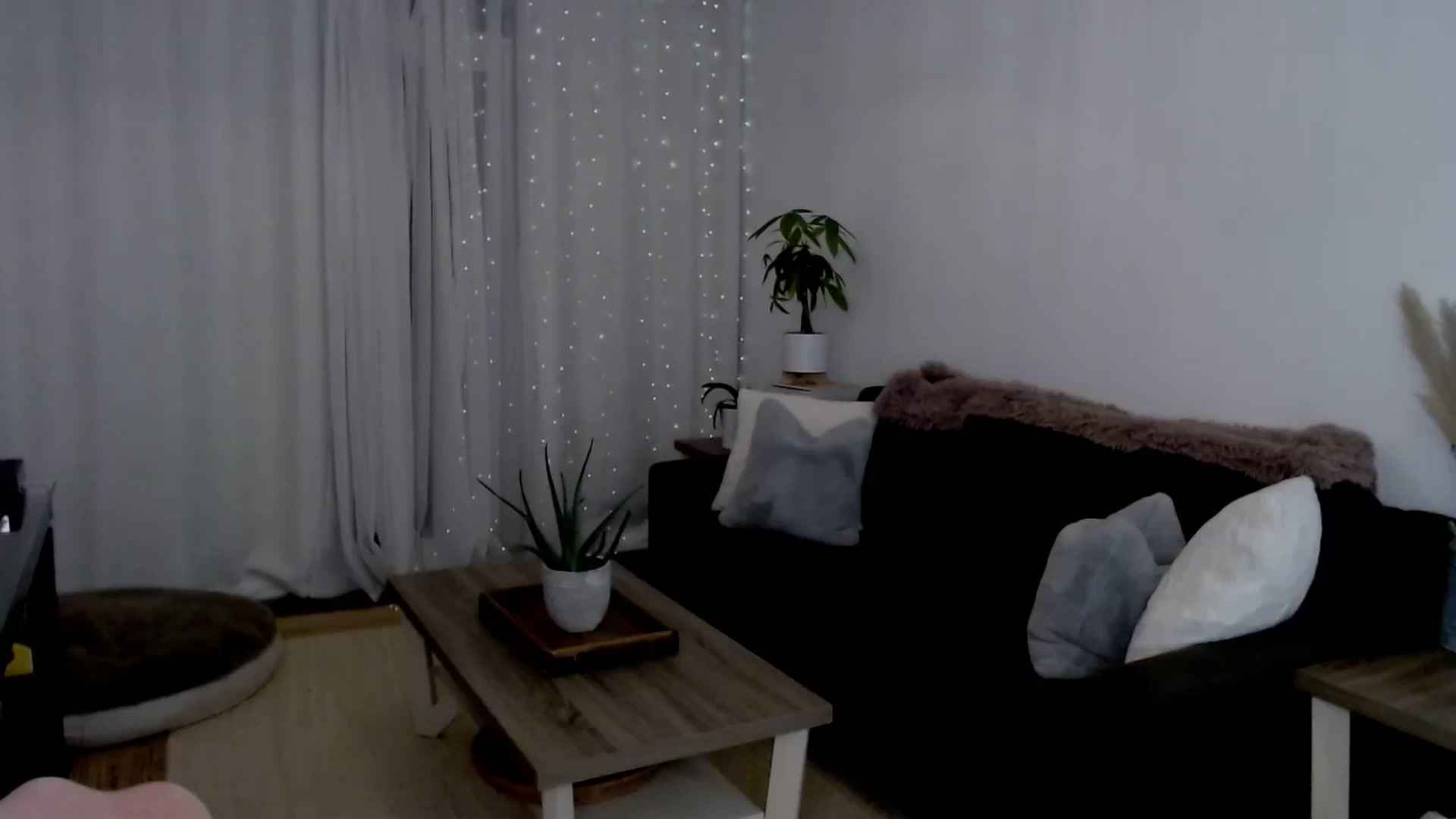 Gallery image thumbnail from sweet__daisy's myfreecams stream on, 08/02/2024, 07:30 image 15 of 20