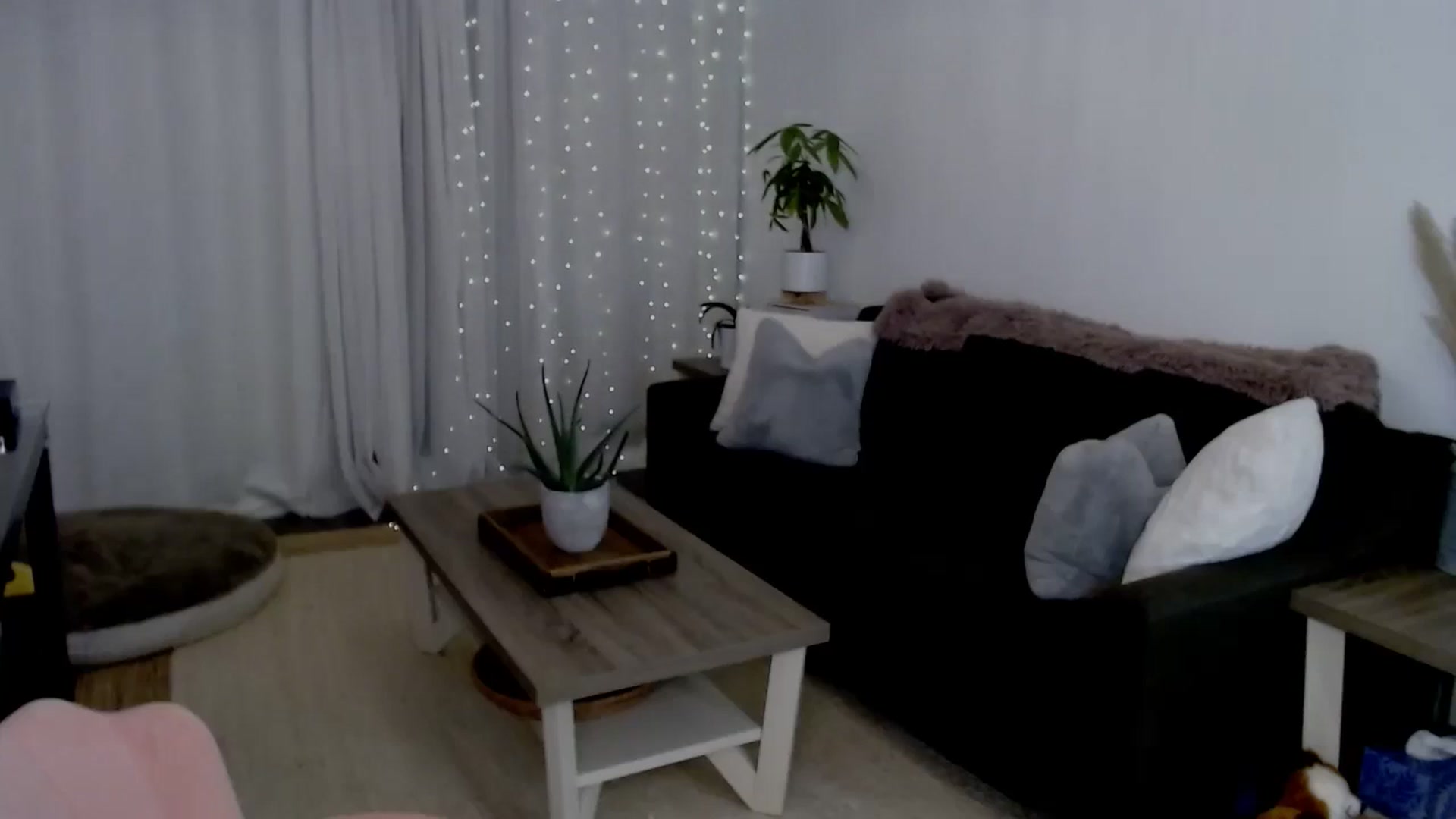 Gallery image thumbnail from sweet__daisy's myfreecams stream on, 08/02/2024, 07:30 image 10 of 20