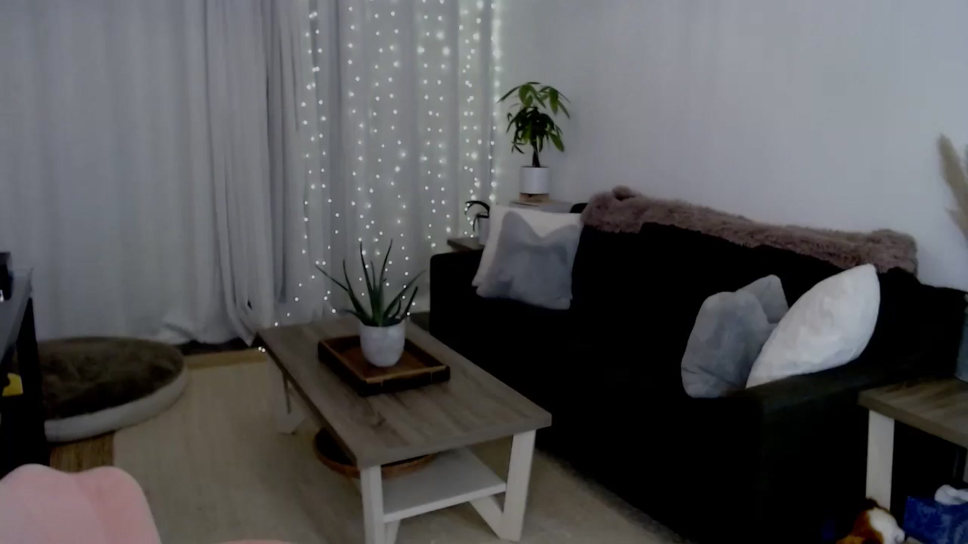 Gallery image thumbnail from sweet__daisy's myfreecams stream on, 08/02/2024, 07:30 image 9 of 20