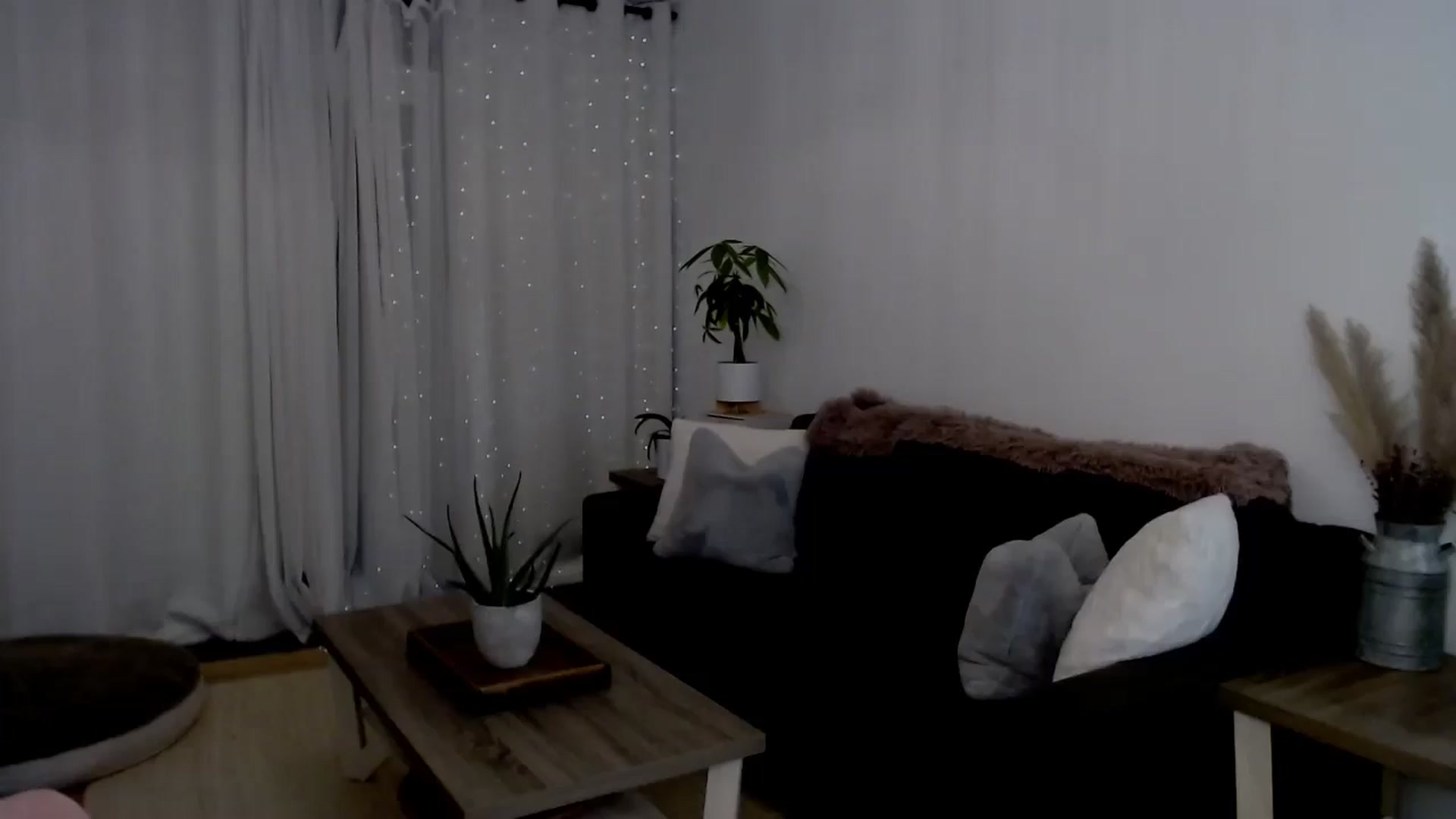 Gallery image thumbnail from sweet__daisy's myfreecams stream on, 08/02/2024, 08:59 image 12 of 20