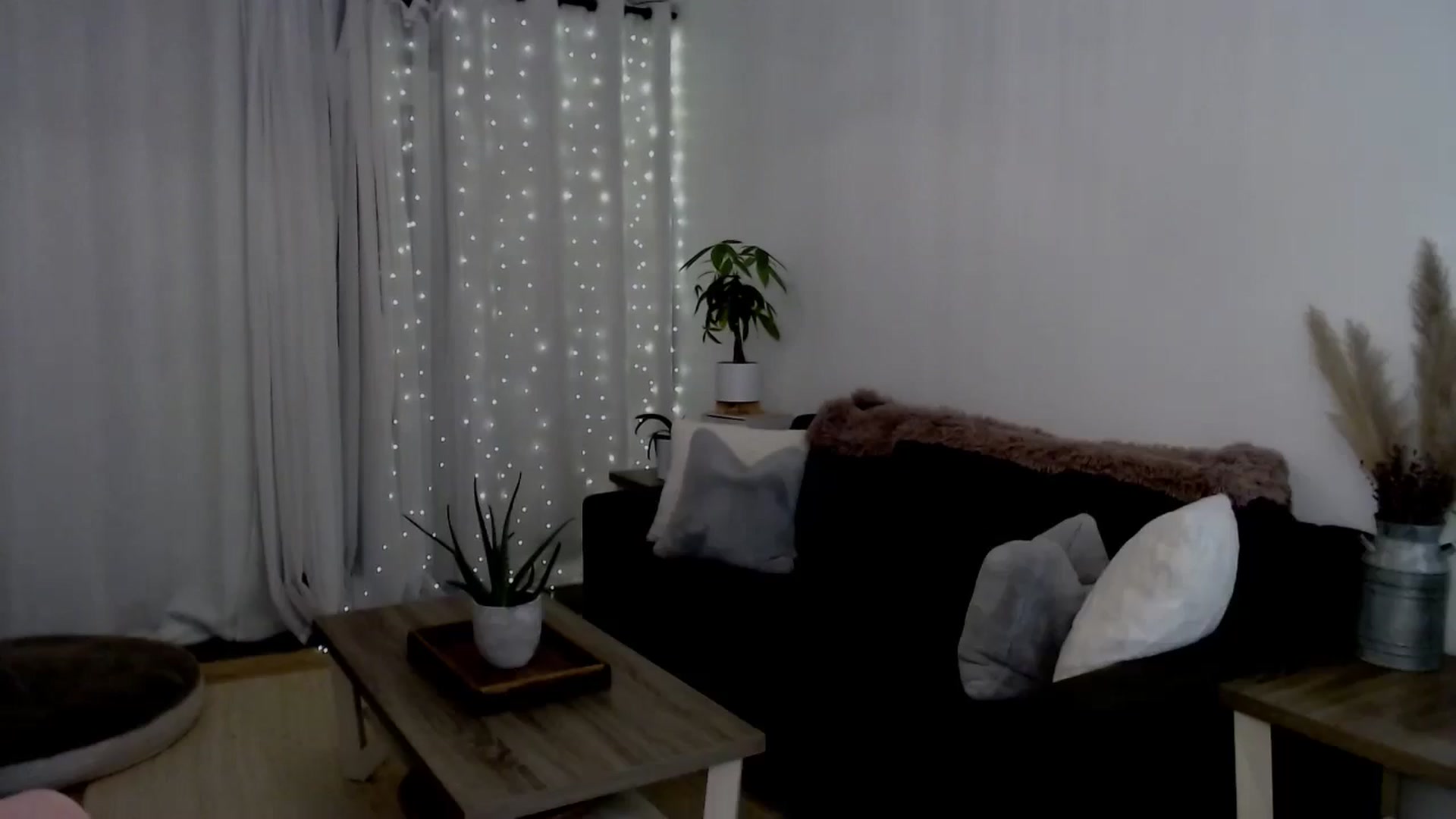Gallery image thumbnail from sweet__daisy's myfreecams stream on, 08/02/2024, 08:59 image 13 of 20