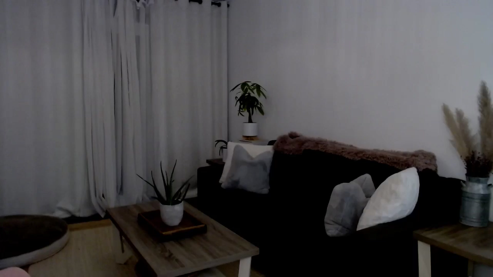 Gallery image thumbnail from sweet__daisy's myfreecams stream on, 08/02/2024, 08:59 image 14 of 20