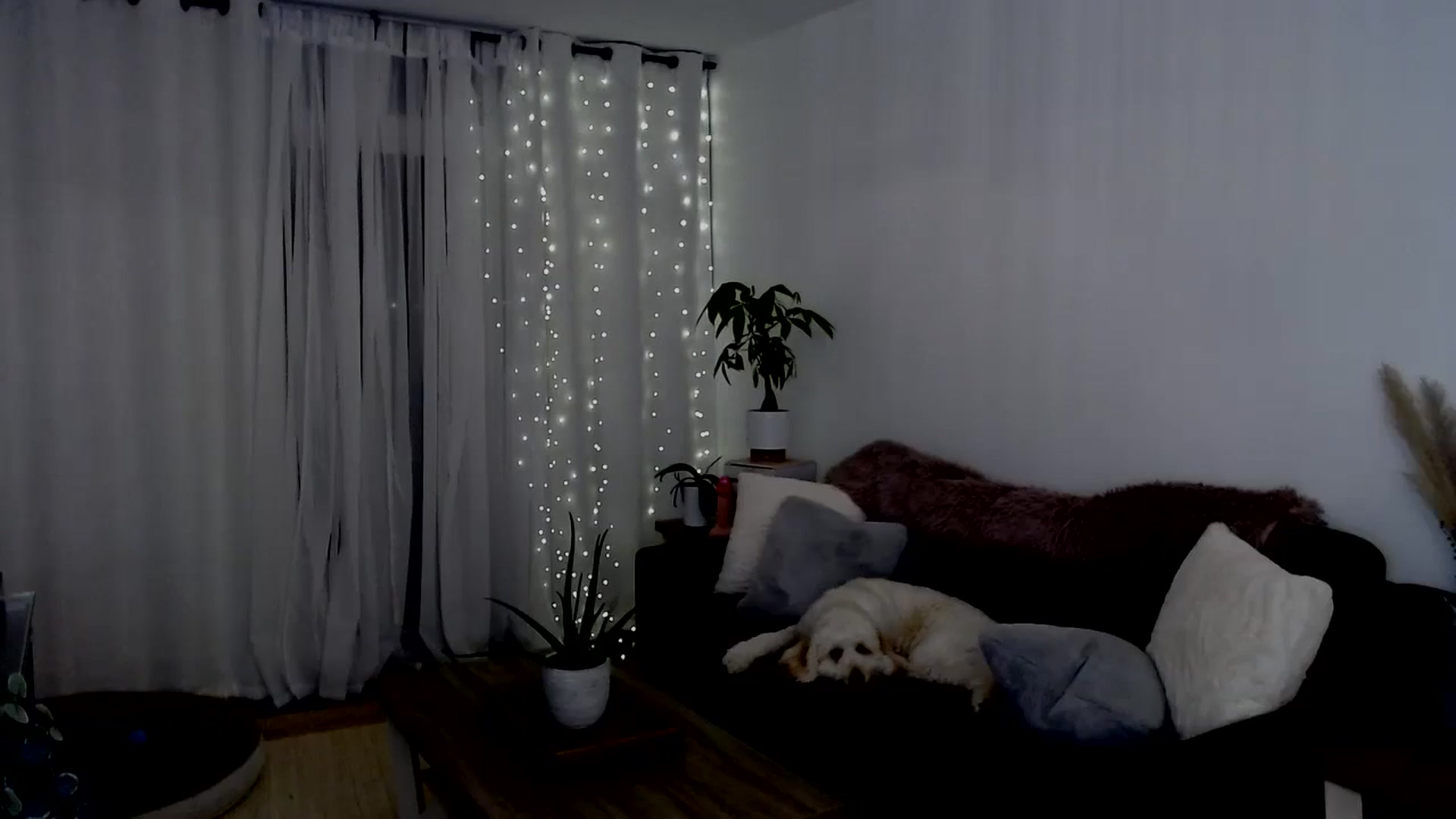 Gallery image thumbnail from sweet__daisy's myfreecams stream on, 08/24/2024, 06:49 image 2 of 20