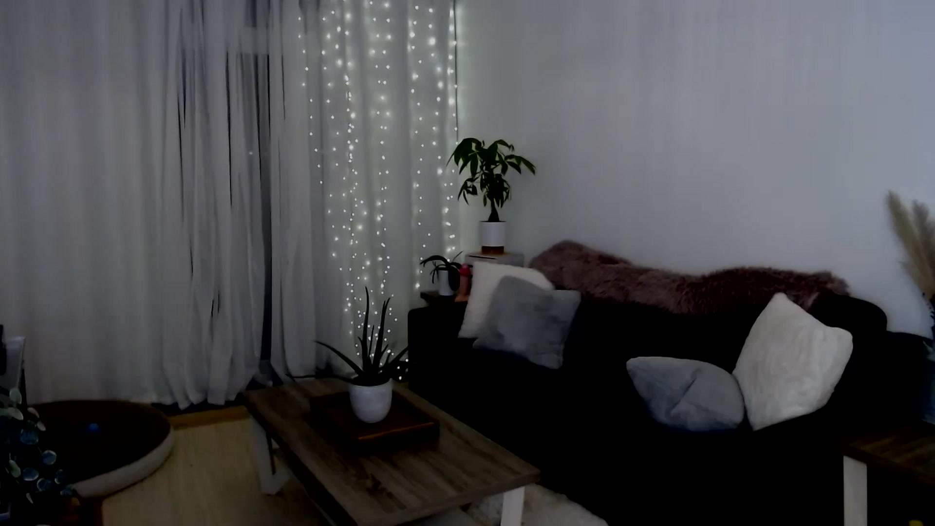 Gallery image thumbnail from sweet__daisy's myfreecams stream on, 08/24/2024, 06:49 image 12 of 20