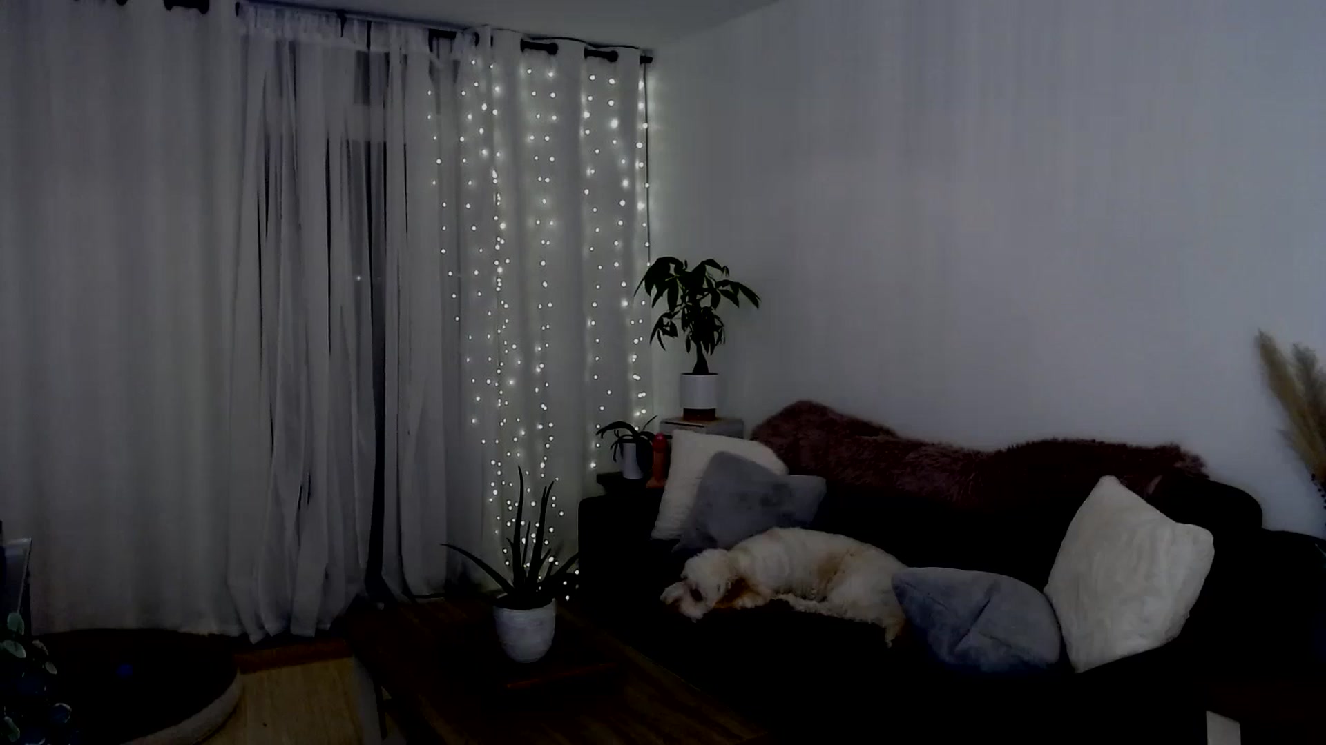 Gallery image thumbnail from sweet__daisy's myfreecams stream on, 08/24/2024, 06:49 image 3 of 20
