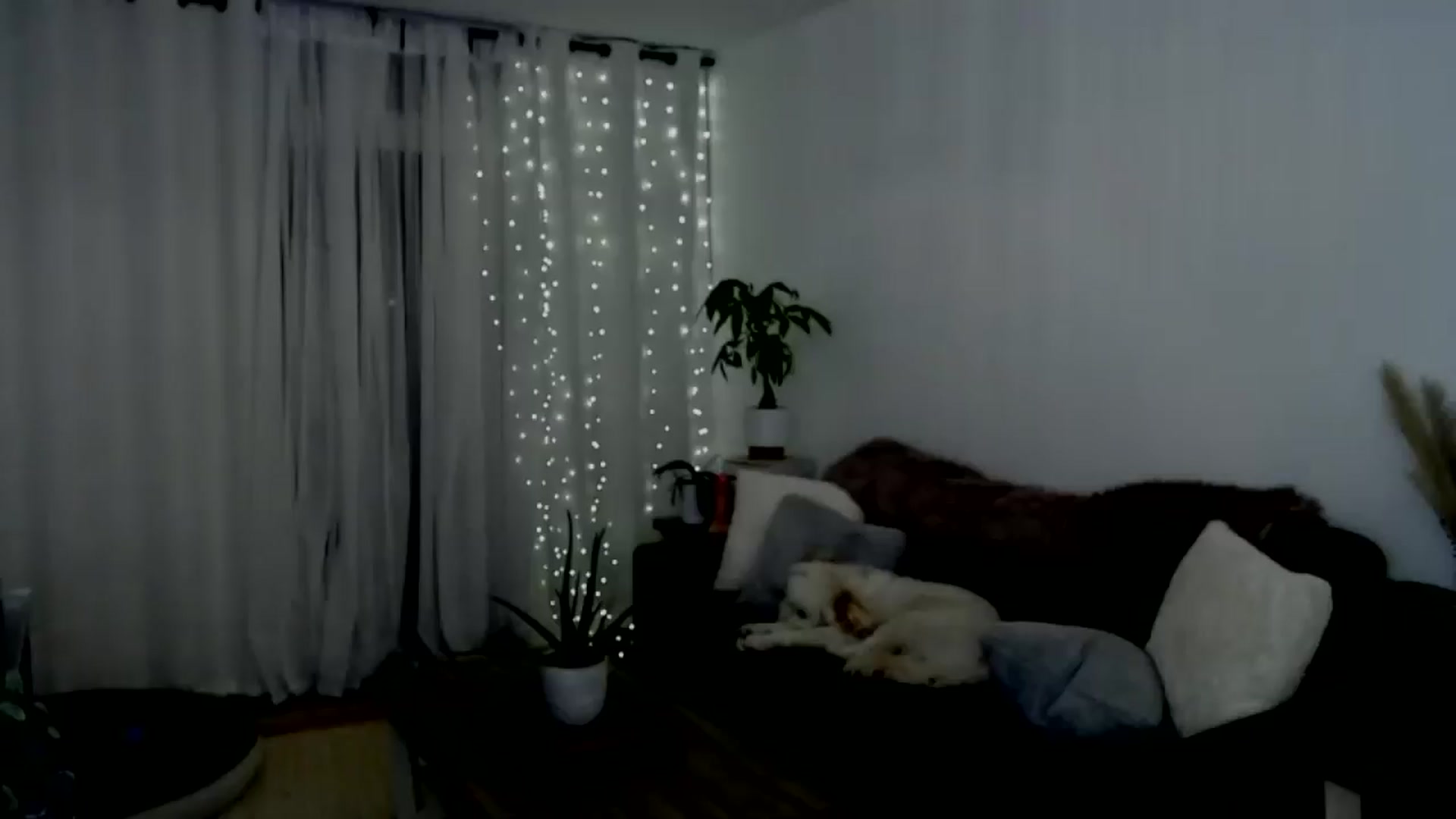 Gallery image thumbnail from sweet__daisy's myfreecams stream on, 08/24/2024, 06:49 image 1 of 20