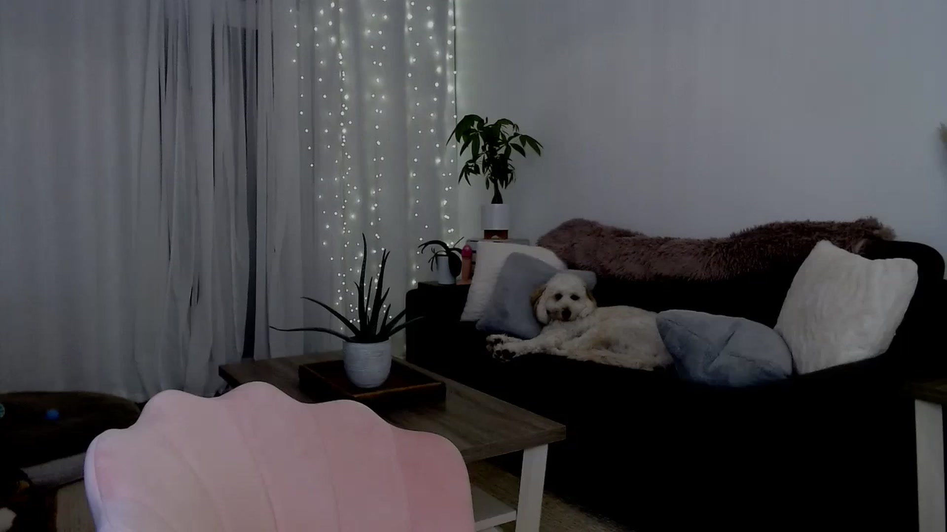 Gallery image thumbnail from sweet__daisy's myfreecams stream on, 08/24/2024, 09:21 image 4 of 20