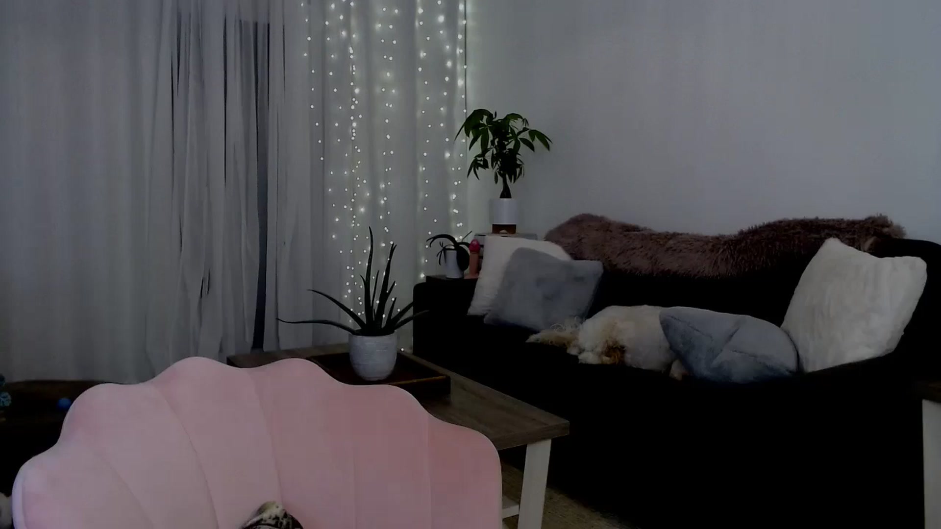 Gallery image thumbnail from sweet__daisy's myfreecams stream on, 08/24/2024, 09:21 image 19 of 20