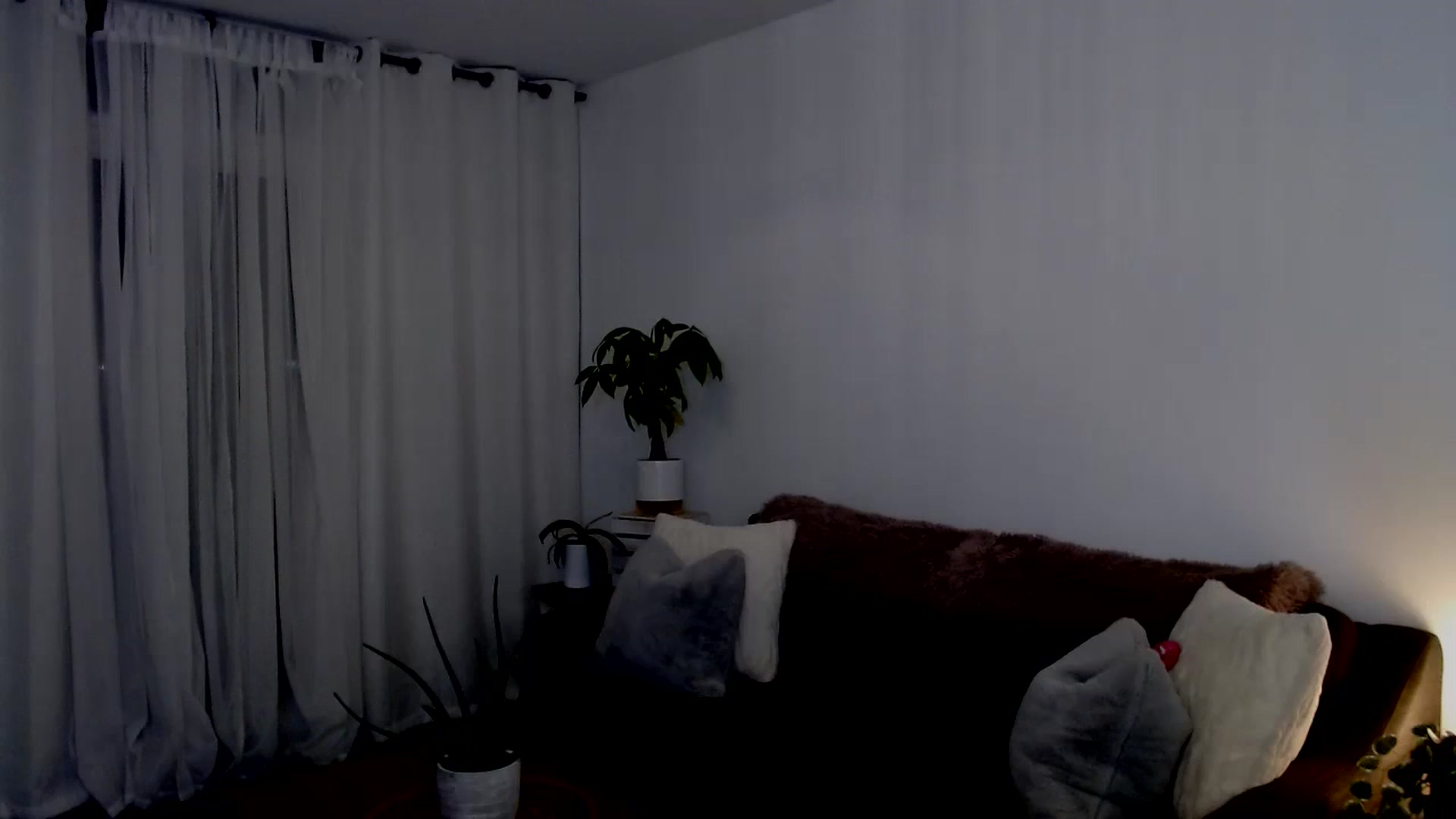 Gallery image thumbnail from sweet__daisy's myfreecams stream on, 09/07/2024, 09:40 image 5 of 20