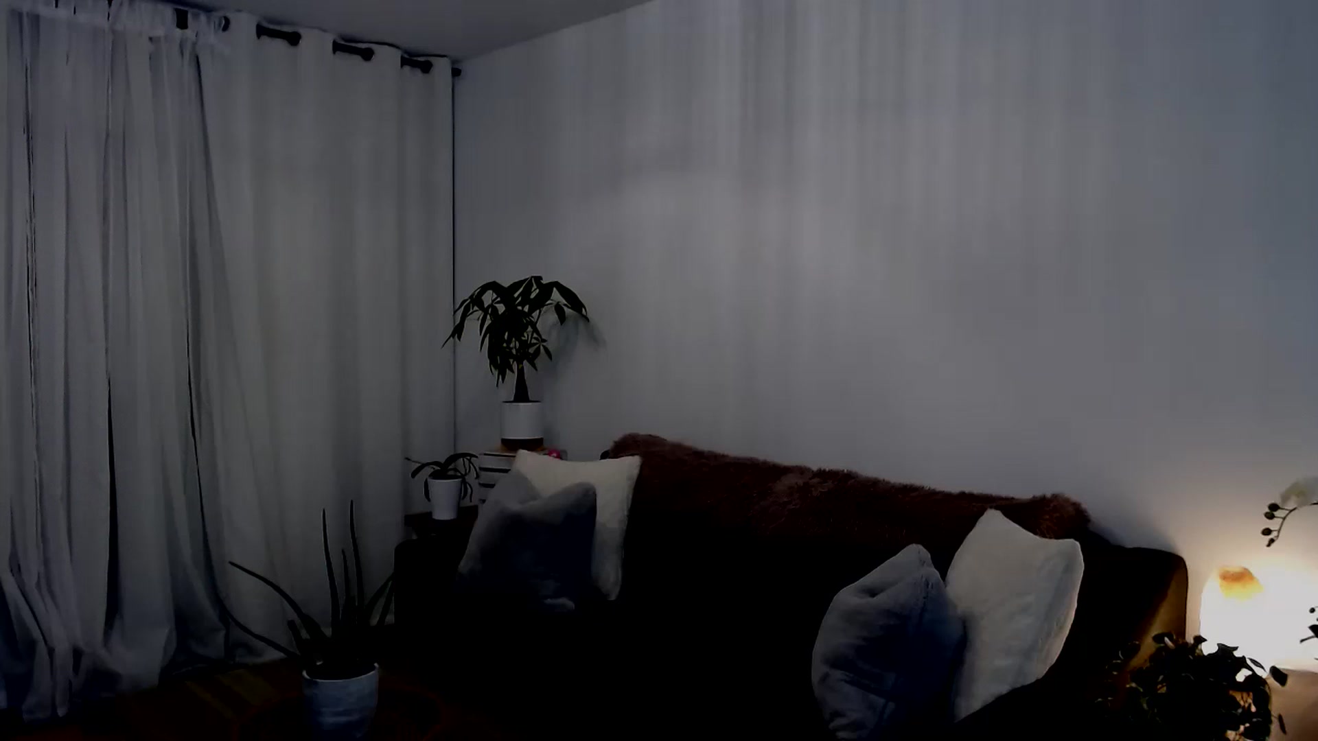 Gallery image thumbnail from sweet__daisy's myfreecams stream on, 09/14/2024, 05:40 image 1 of 20