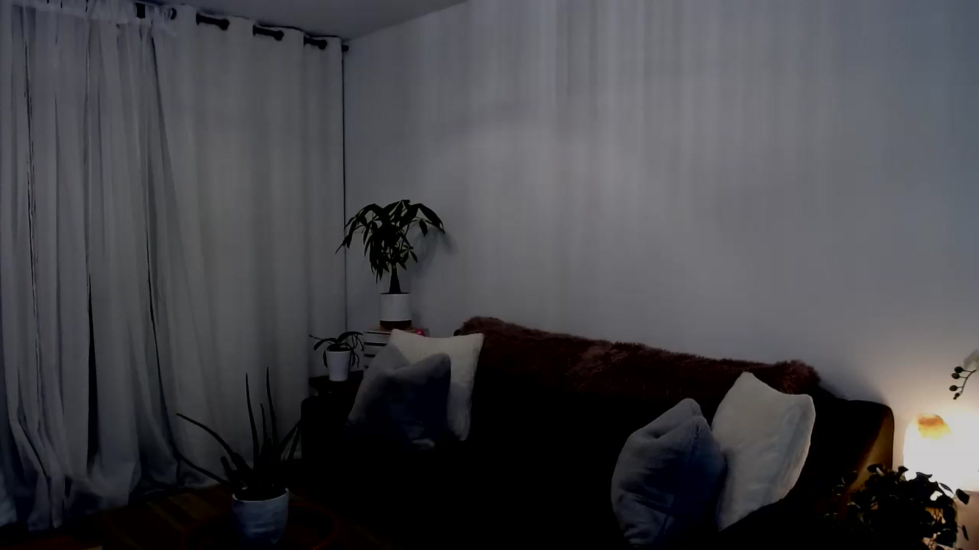 Gallery image thumbnail from sweet__daisy's myfreecams stream on, 09/14/2024, 06:33 image 3 of 20