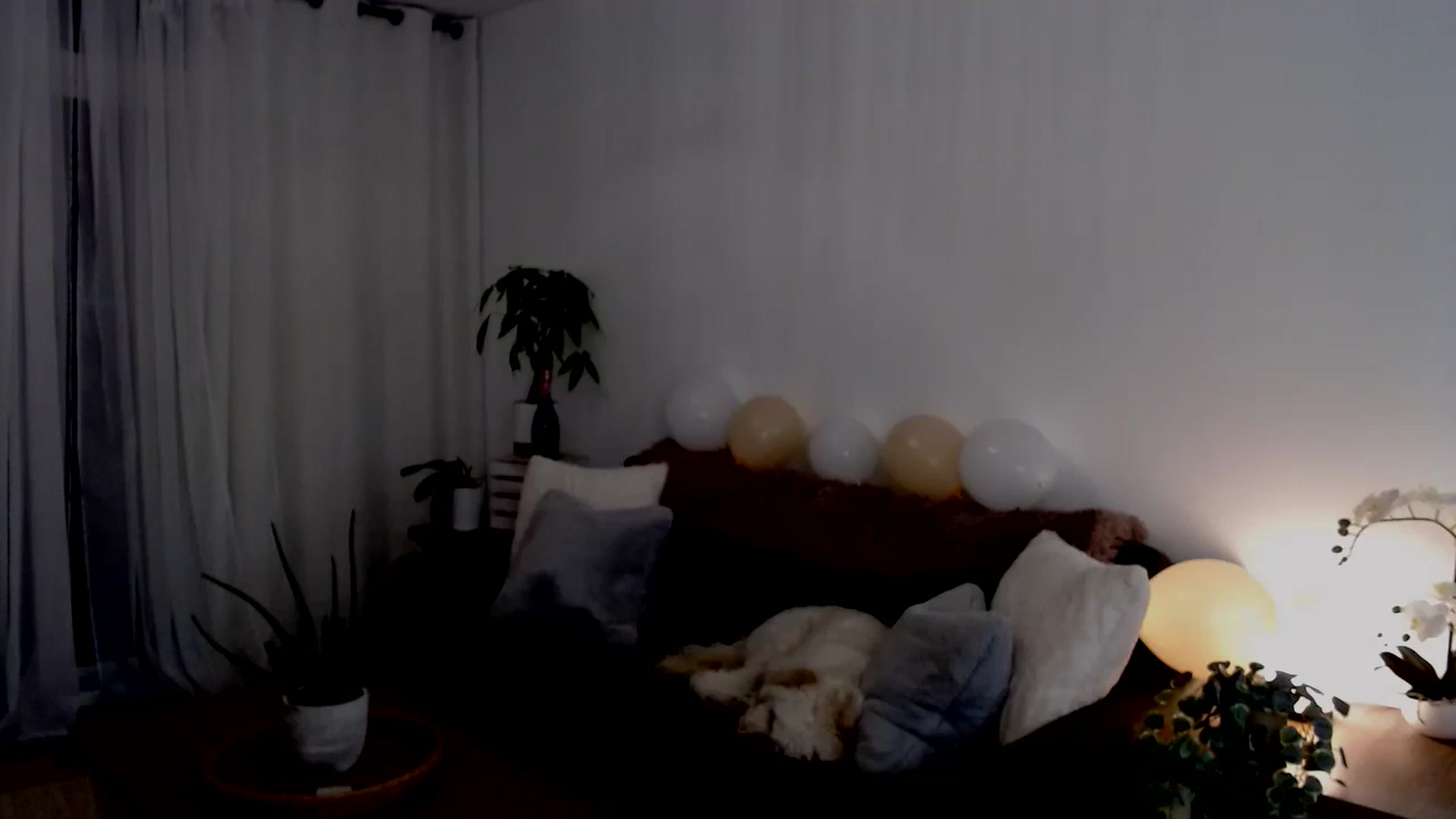 Gallery image thumbnail from sweet__daisy's myfreecams stream on, 09/21/2024, 06:46 image 16 of 20