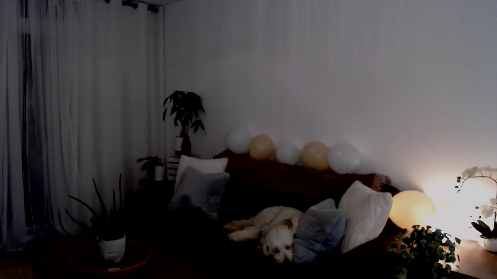 Gallery image thumbnail from sweet__daisy's myfreecams stream on, 09/21/2024, 06:46 image 15 of 20