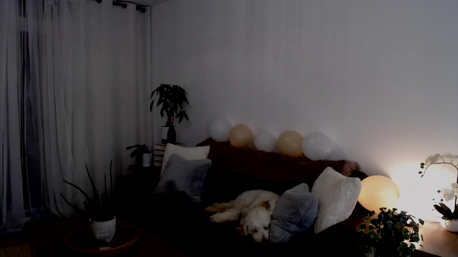 Gallery image thumbnail from sweet__daisy's myfreecams stream on, 09/21/2024, 06:46 image 10 of 20