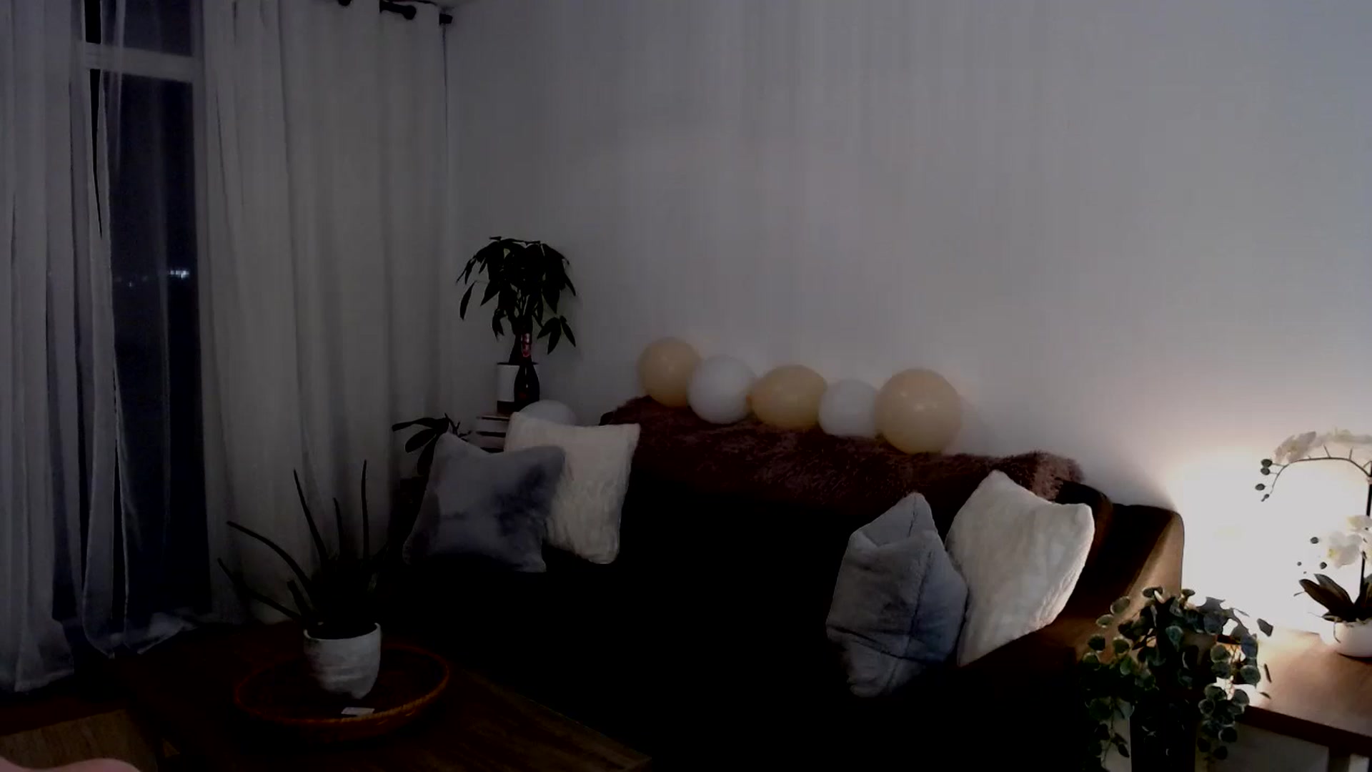 Gallery image thumbnail from sweet__daisy's myfreecams stream on, 09/22/2024, 07:38 image 4 of 20