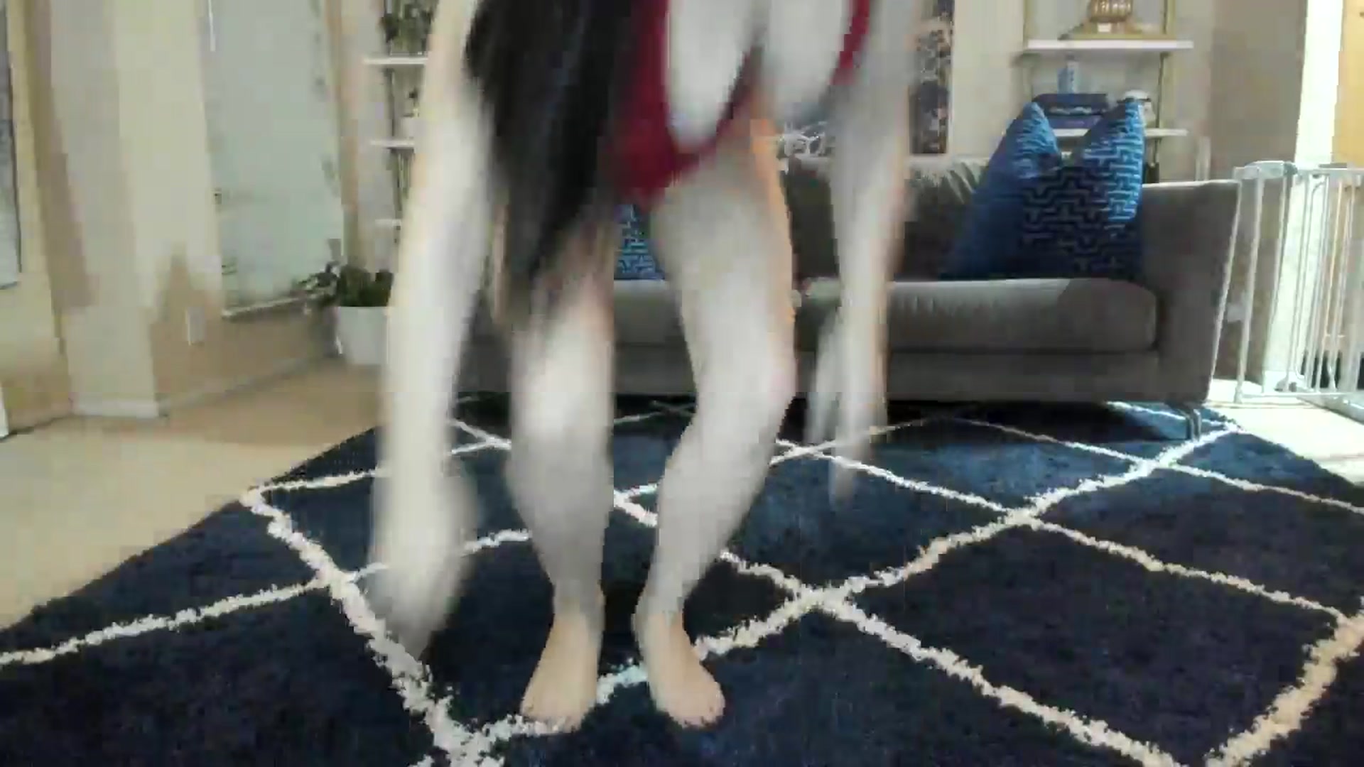 Gallery image thumbnail from sweetgirly's myfreecams stream on, 11/19/2024, 03:21 image 19 of 20