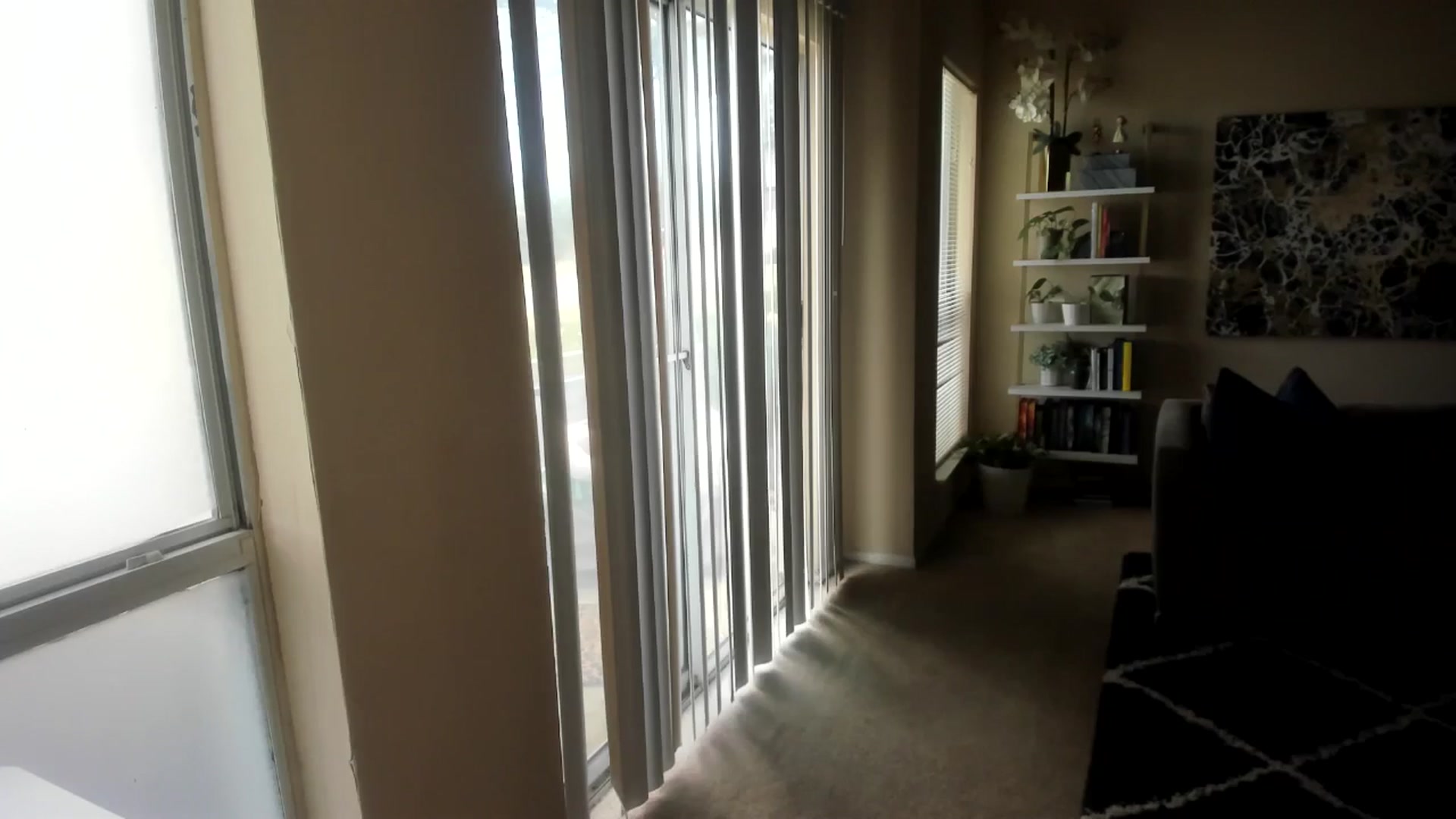 Gallery image thumbnail from sweetgirly's myfreecams stream on, 12/11/2024, 18:30 image 3 of 20
